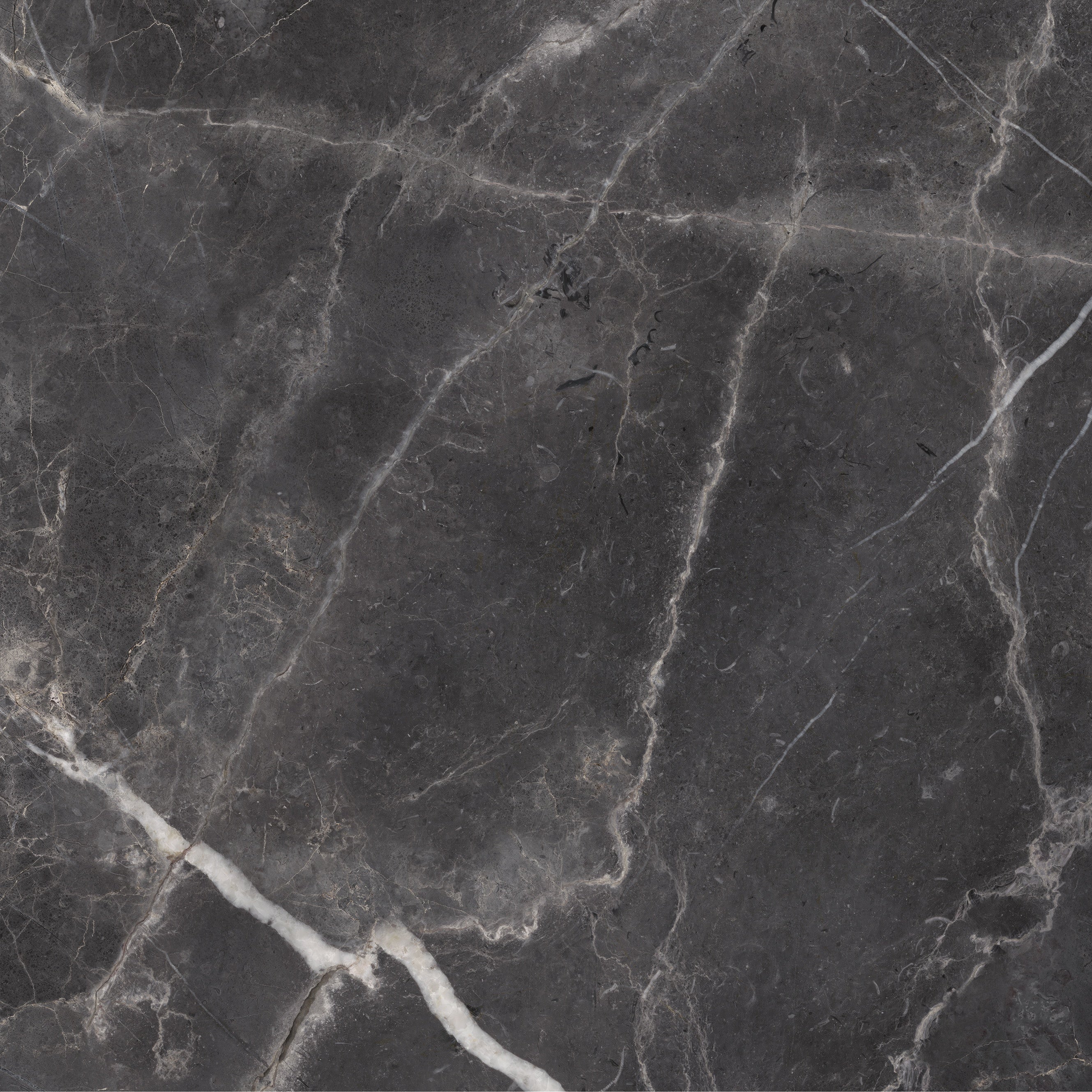 MAJESTO: Forge Eleganza Porcelain Field Tile (36"×11/32" | Polished | Rectified)