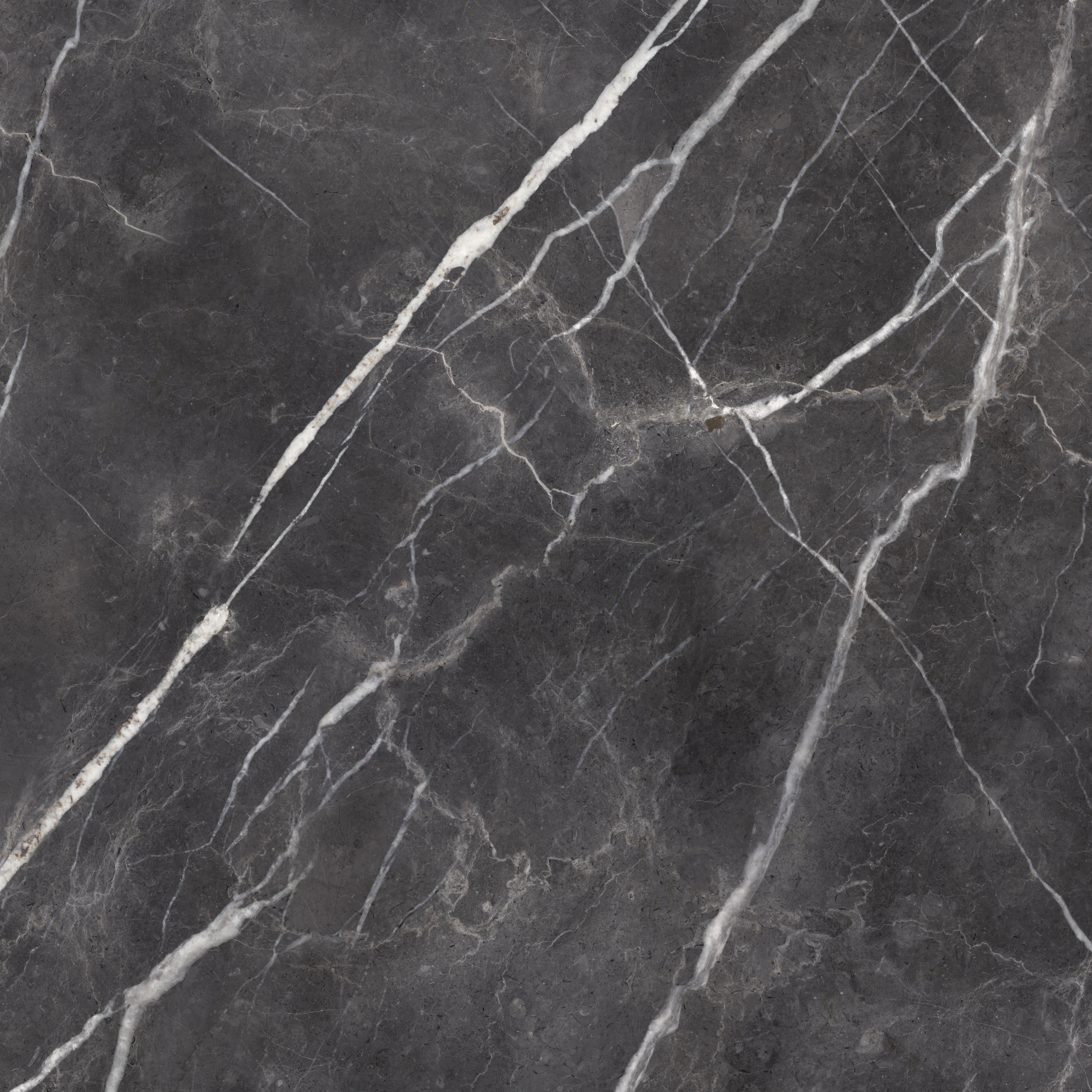 Majesto Forge Eleganza porcelain field tile by Anatolia, top-down product view, 48"×11/32" size. Turkish porcelain for floors and walls.