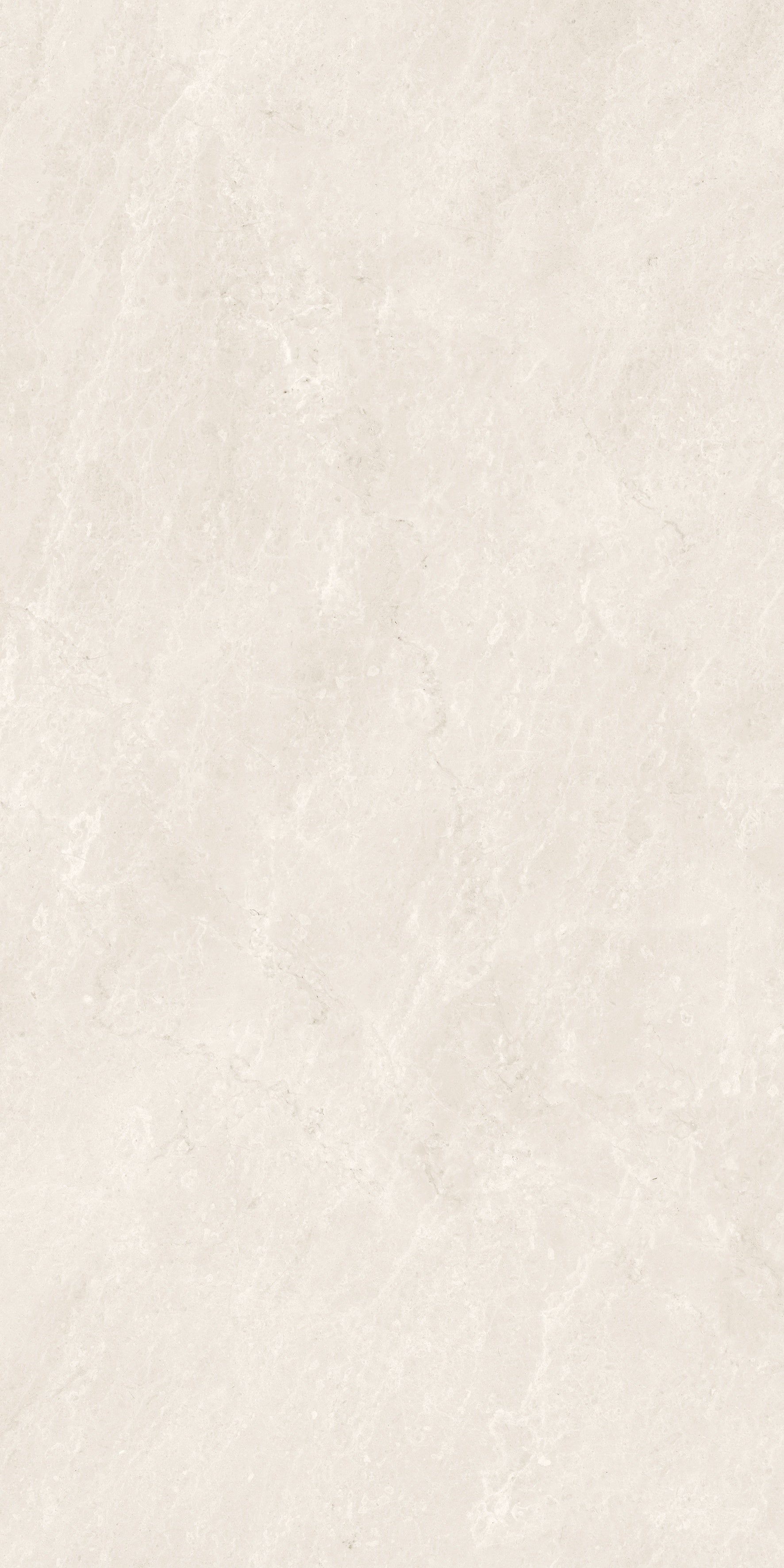 MAJESTO: French Vanilla Porcelain Field Tile (12"×24"×11/32" | Honed | Rectified)