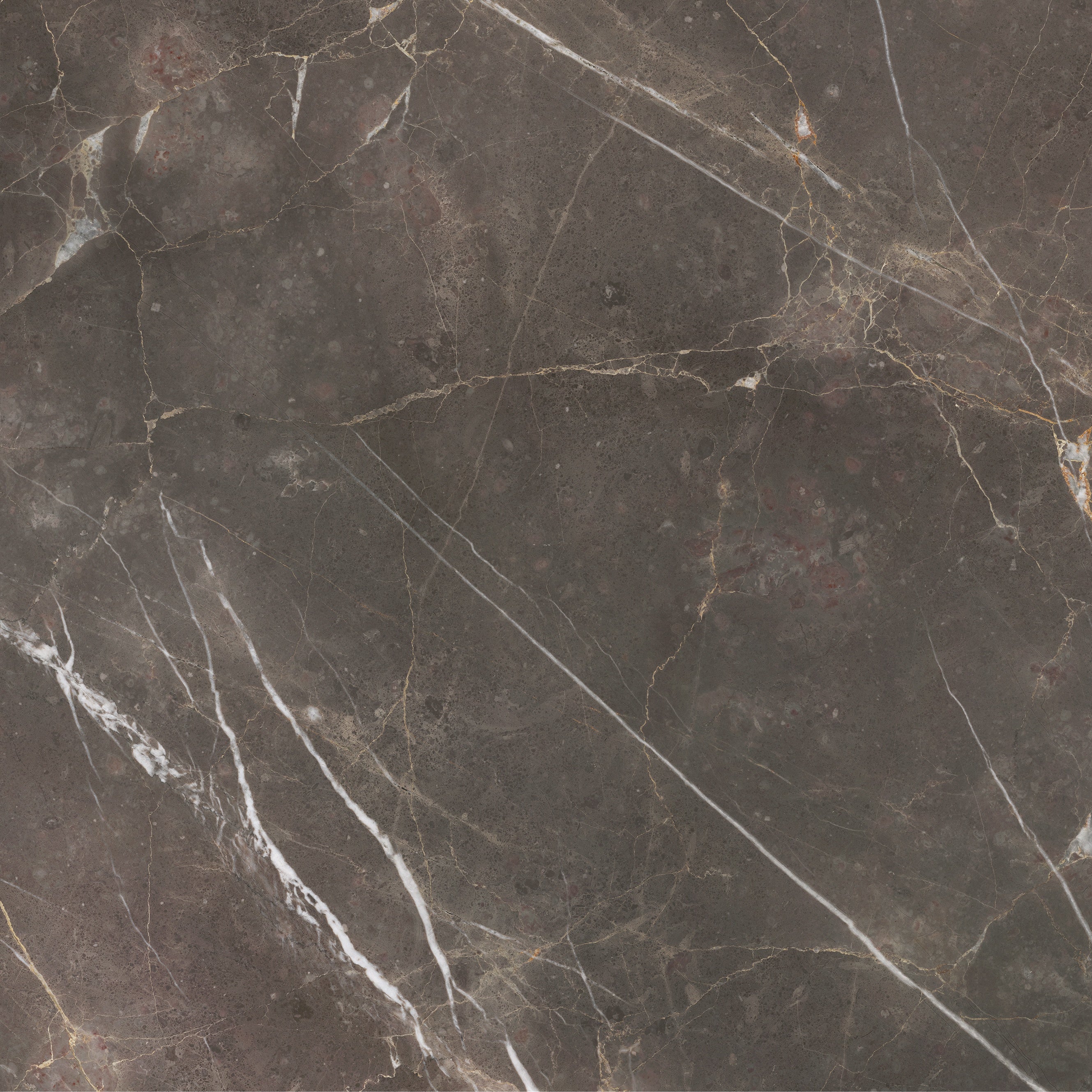 Majesto Pietra Imperiale porcelain field tile by Anatolia, top-down product view, 36"×11/32" size. Turkish porcelain for floors and walls.