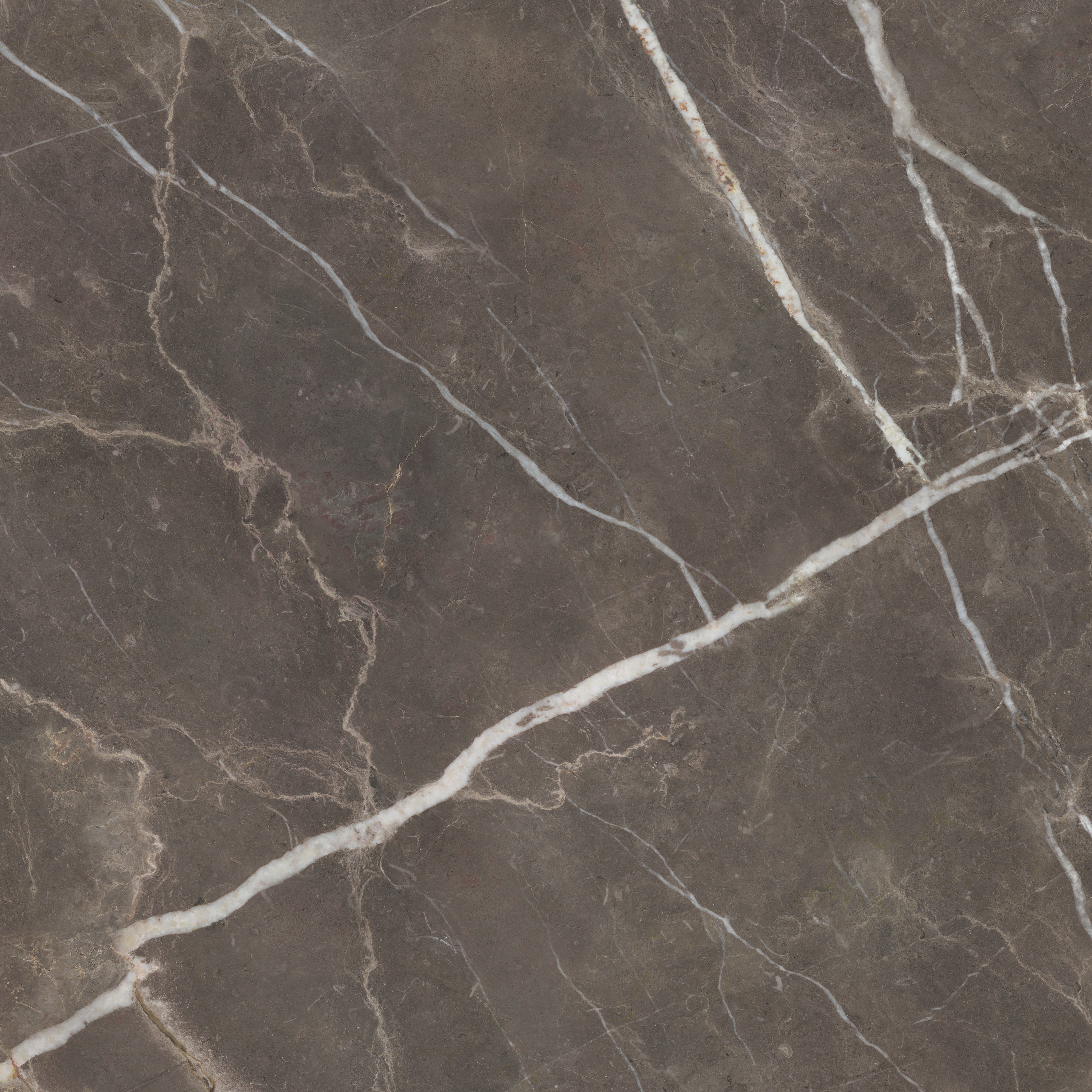 MAJESTO: Pietra Imperiale Paver Porcelain Field Tile (24"×48"×25/32" | Vintage | Rectified)