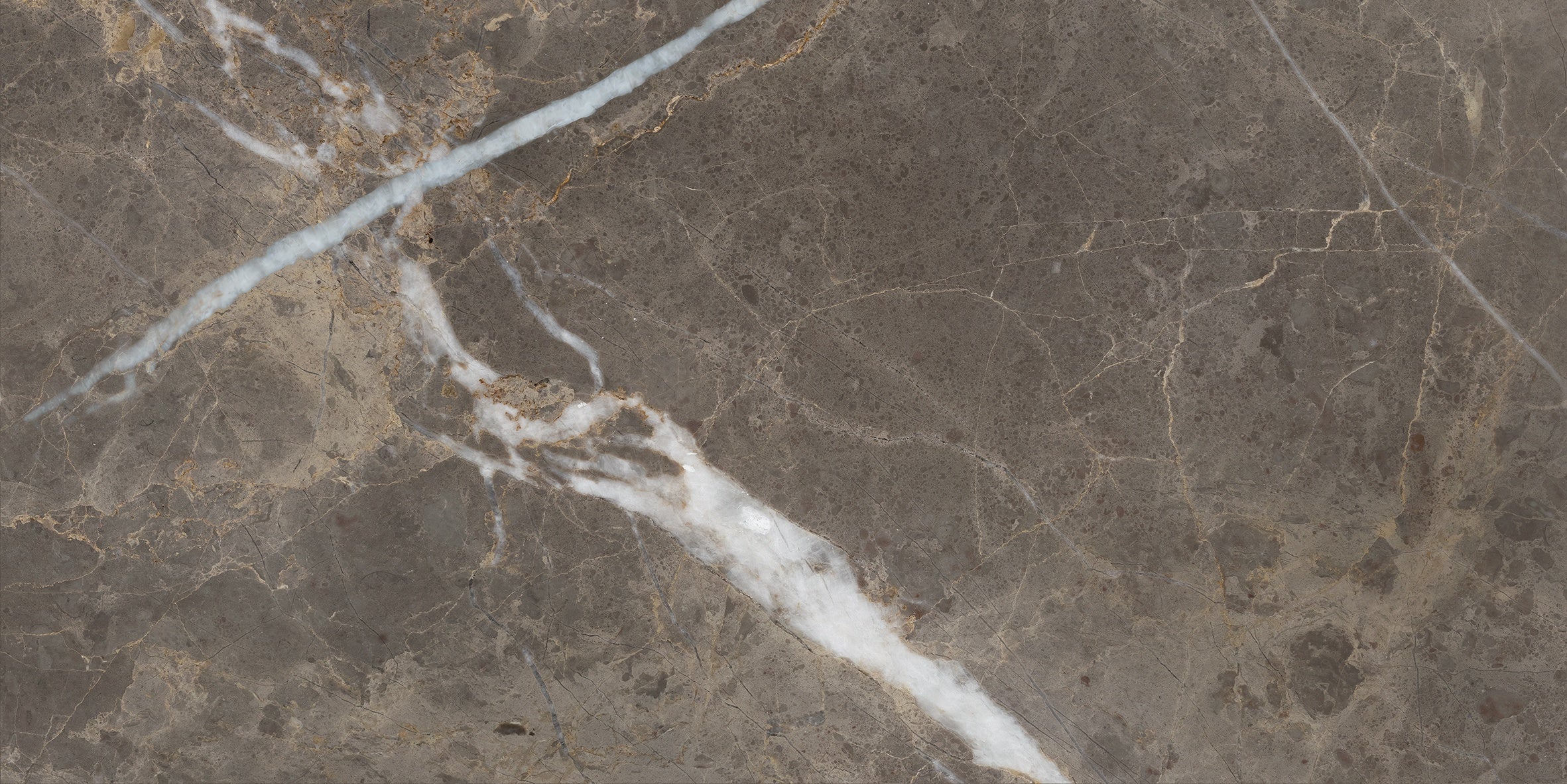 Majesto Pietra Imperiale porcelain field tile by Anatolia, top-down product view, 12"×24"×11/32" size. Turkish porcelain for floors and walls.