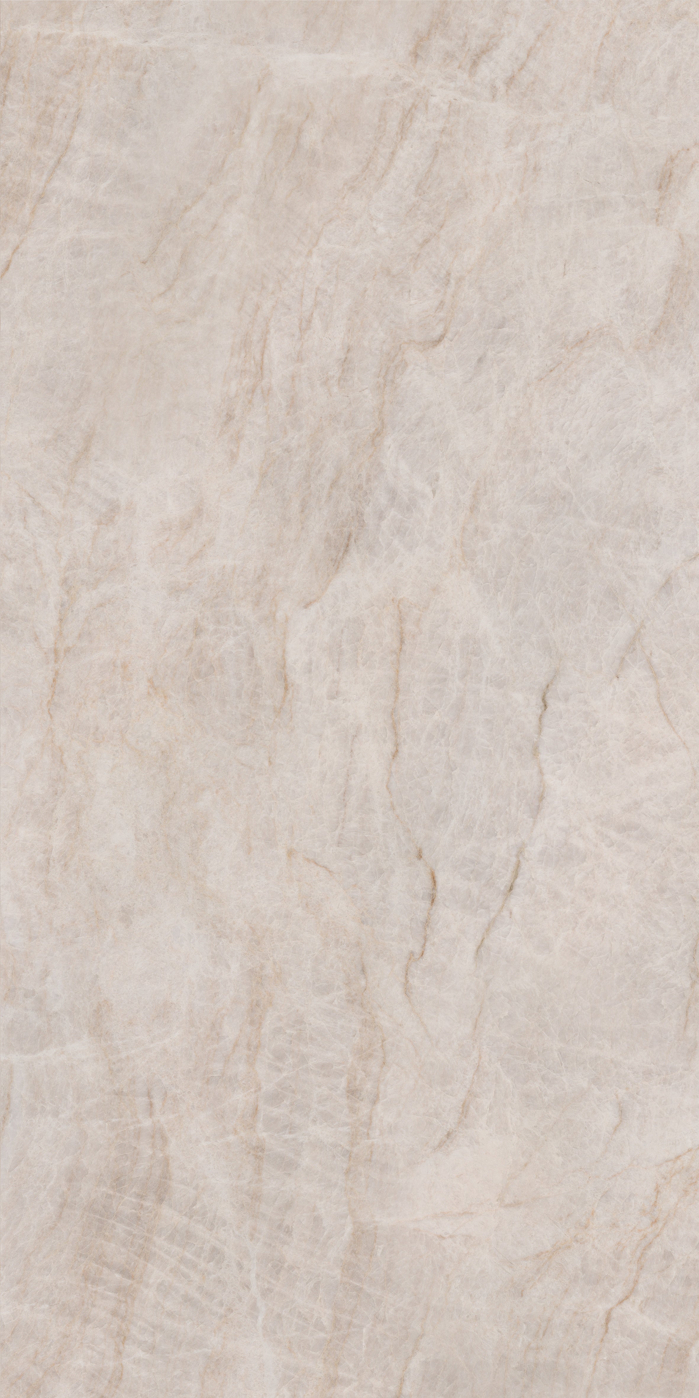 MAJESTO: Taj Mahal Special Order Porcelain Field Tile (24"×48"×11/32" | Polished | Rectified)