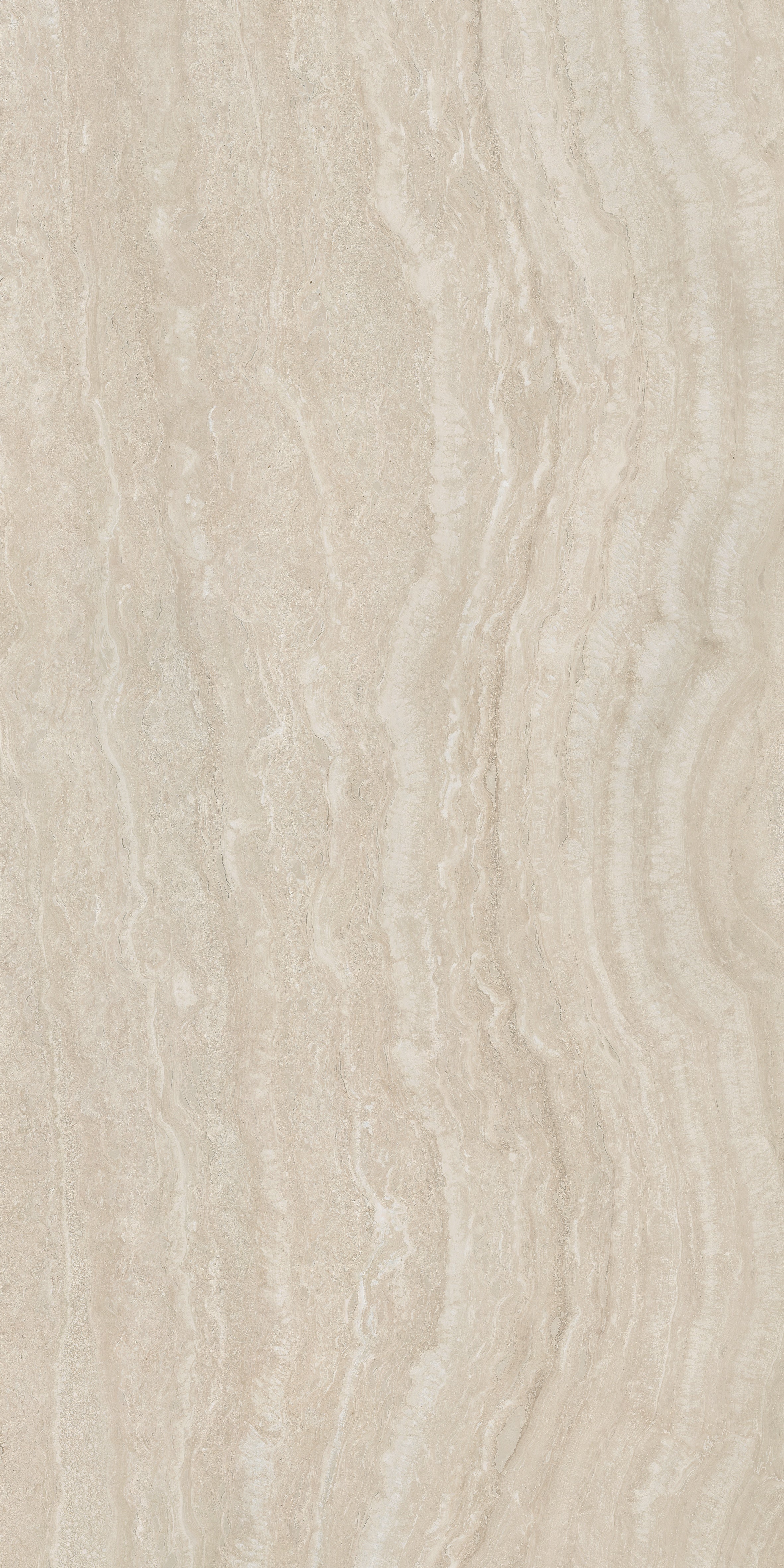 MAJESTO: Travertino Classico Porcelain Field Tile (24"×48"×11/32" | Honed | Rectified)