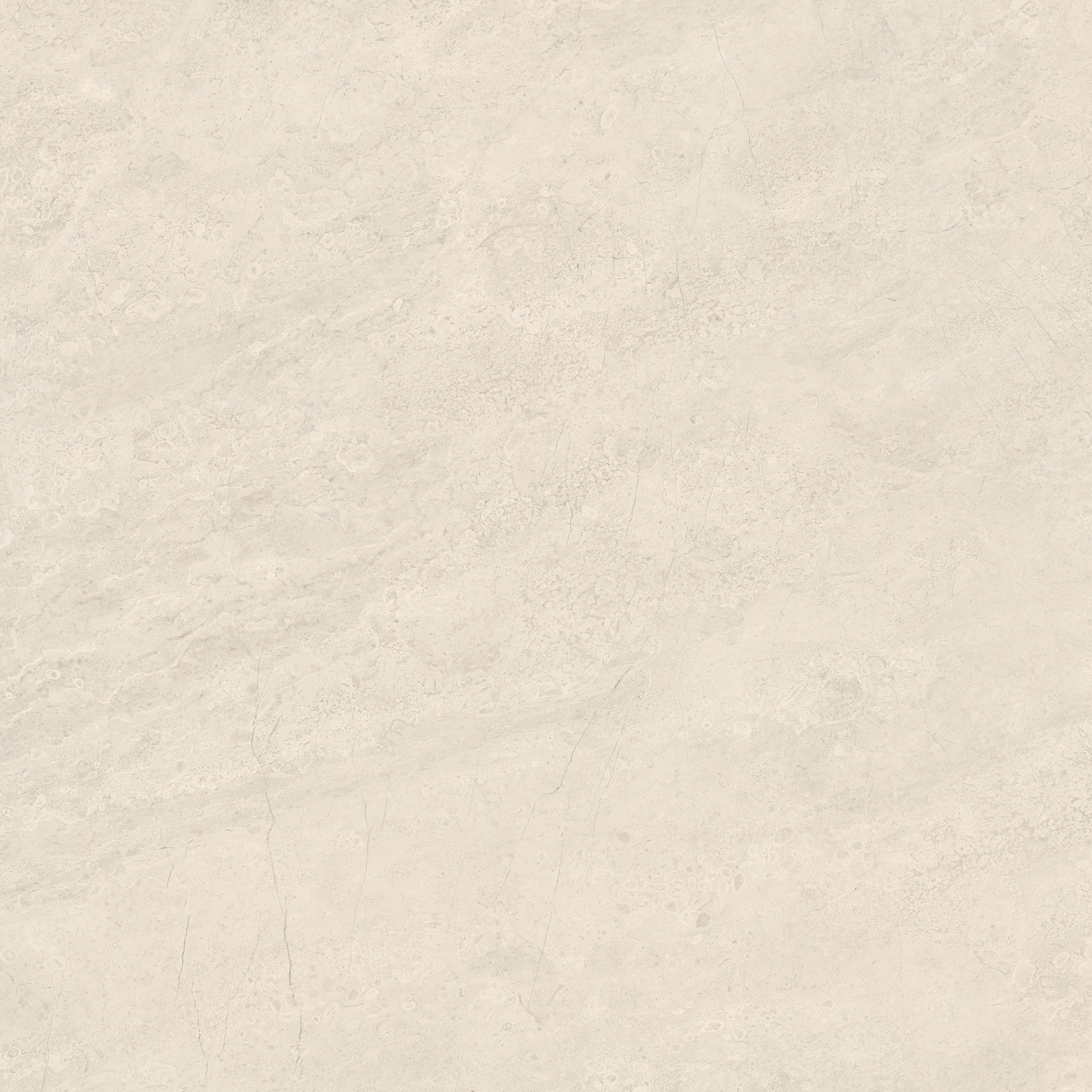 Mayfair Allure Ivory porcelain field tile by Anatolia, top-down product view, 24"×11/32" size. Indian porcelain for floors and walls.