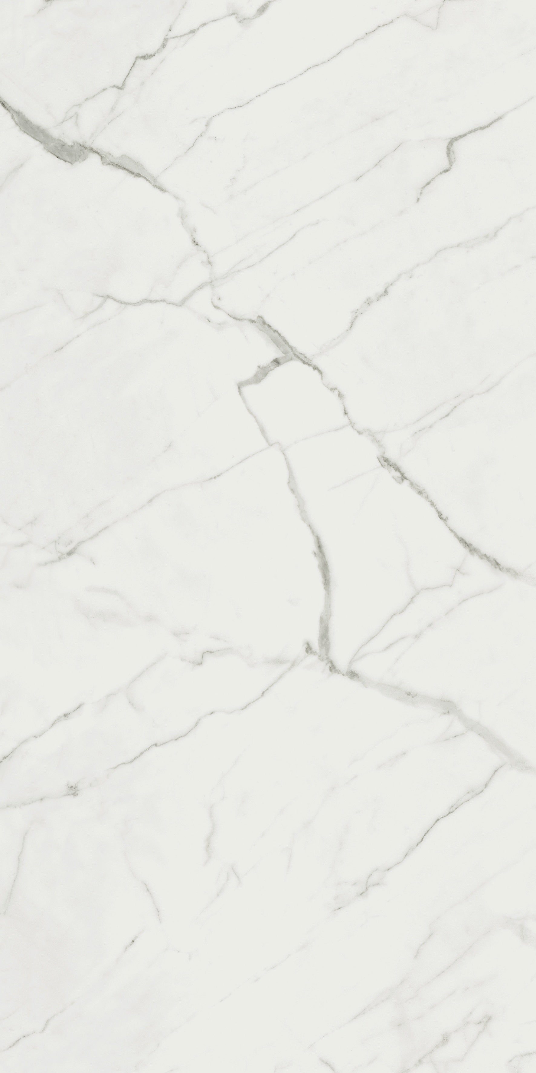 Mayfair Statuario Venato porcelain field tile by Anatolia, top-down product view, 24"×48"×11/32" size. Indian porcelain for floors and walls.