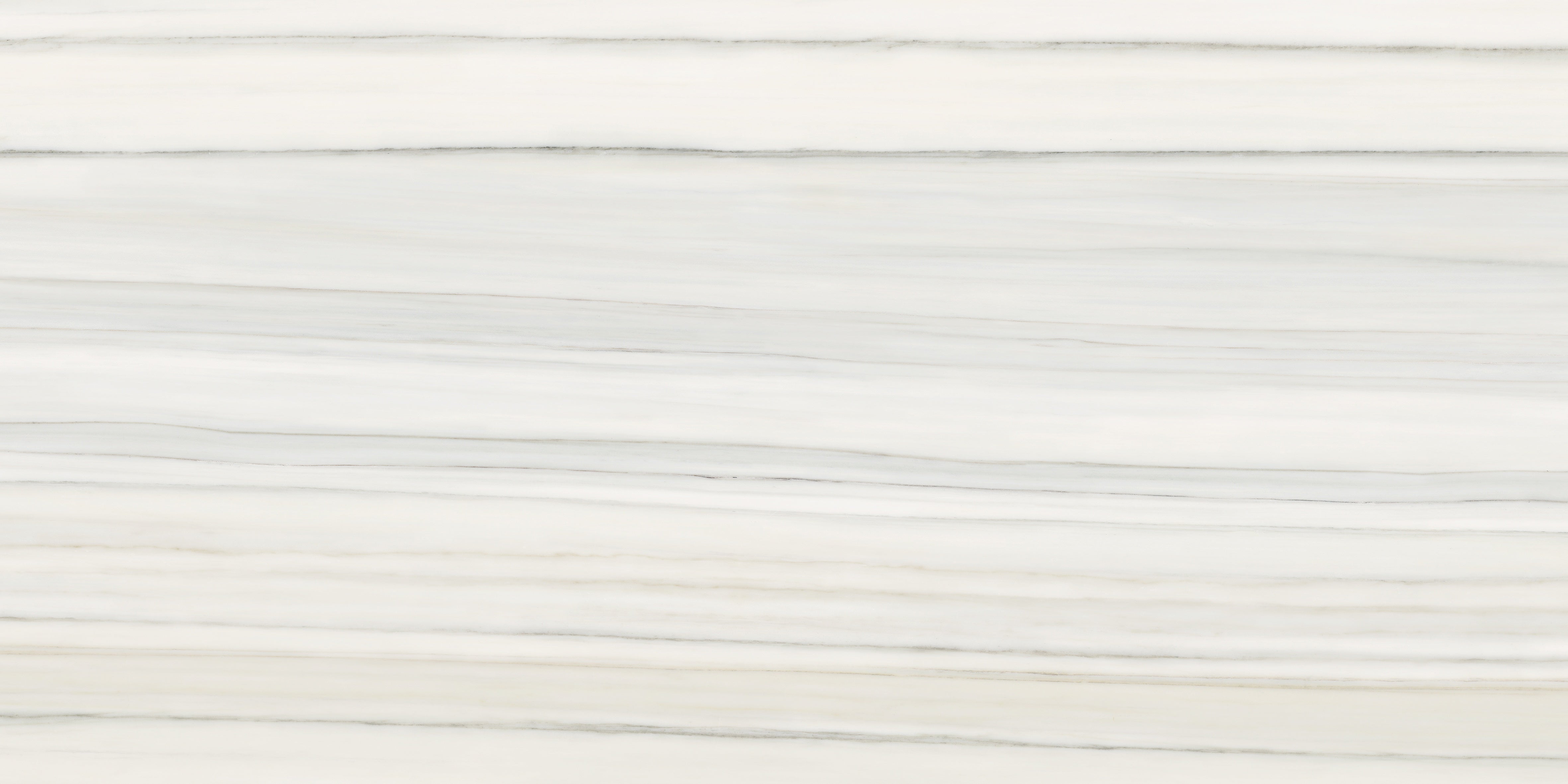 Mayfair Zebrino porcelain field tile by Anatolia, top-down product view, 24"×48"×11/32" size. Indian porcelain for floors and walls.