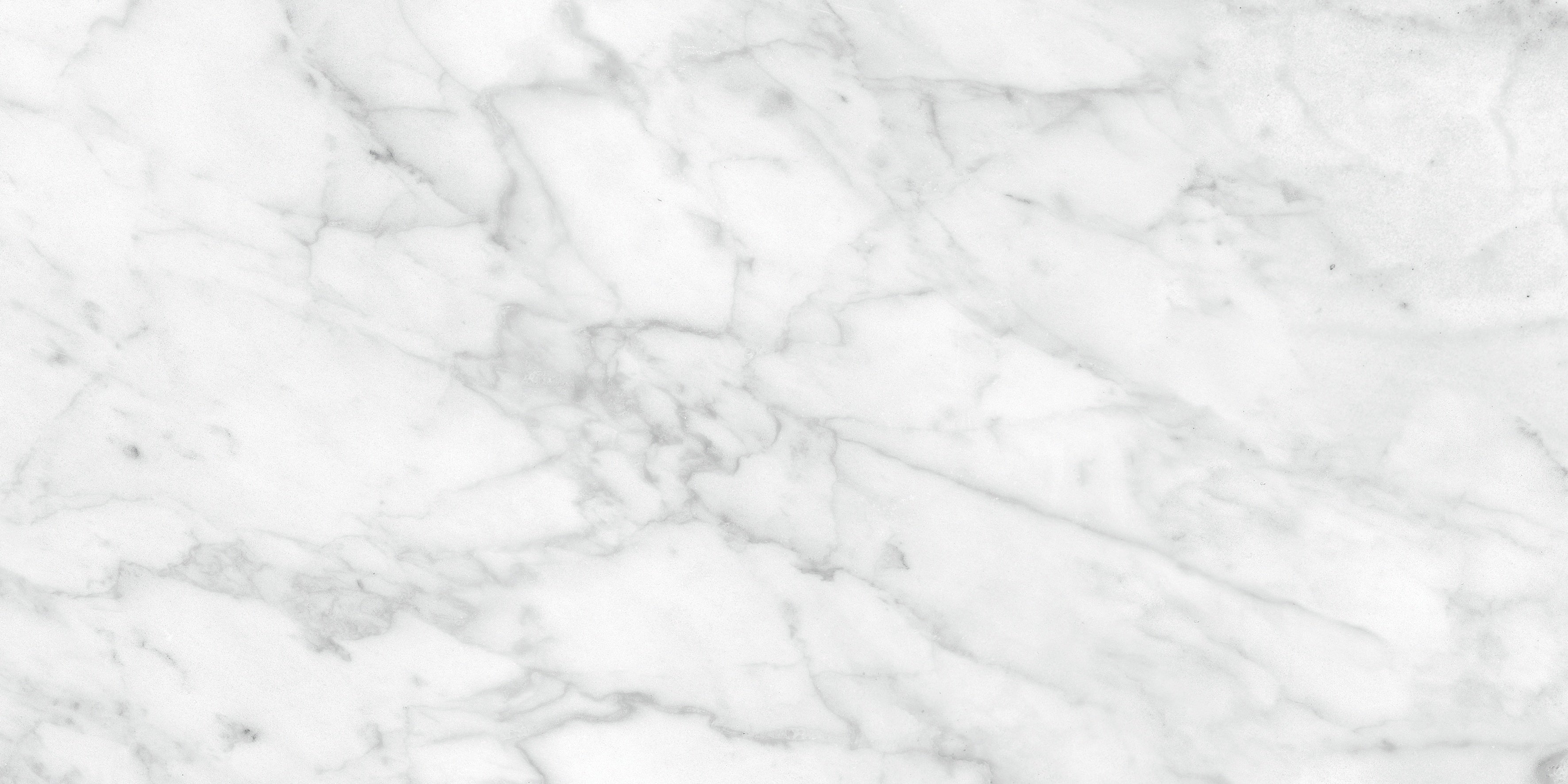 Plata Carrara Abisso porcelain field tile by Anatolia, top-down product view, 12"×24"×11/32" size. Indian porcelain for floors and walls.