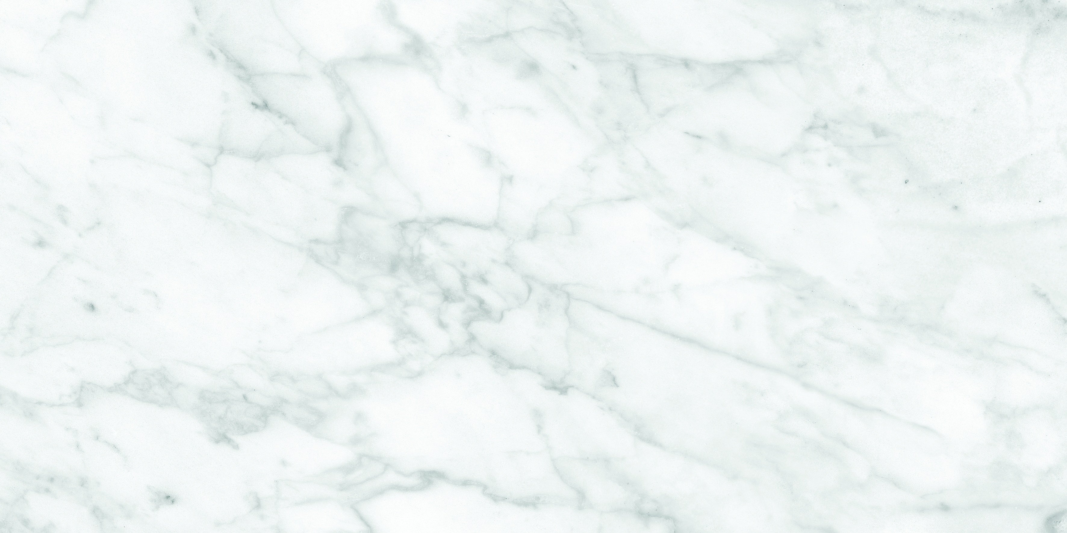 Plata Carrara Abisso porcelain field tile by Anatolia, top-down product view, 12"×24"×11/32" size. Indian porcelain for floors and walls.