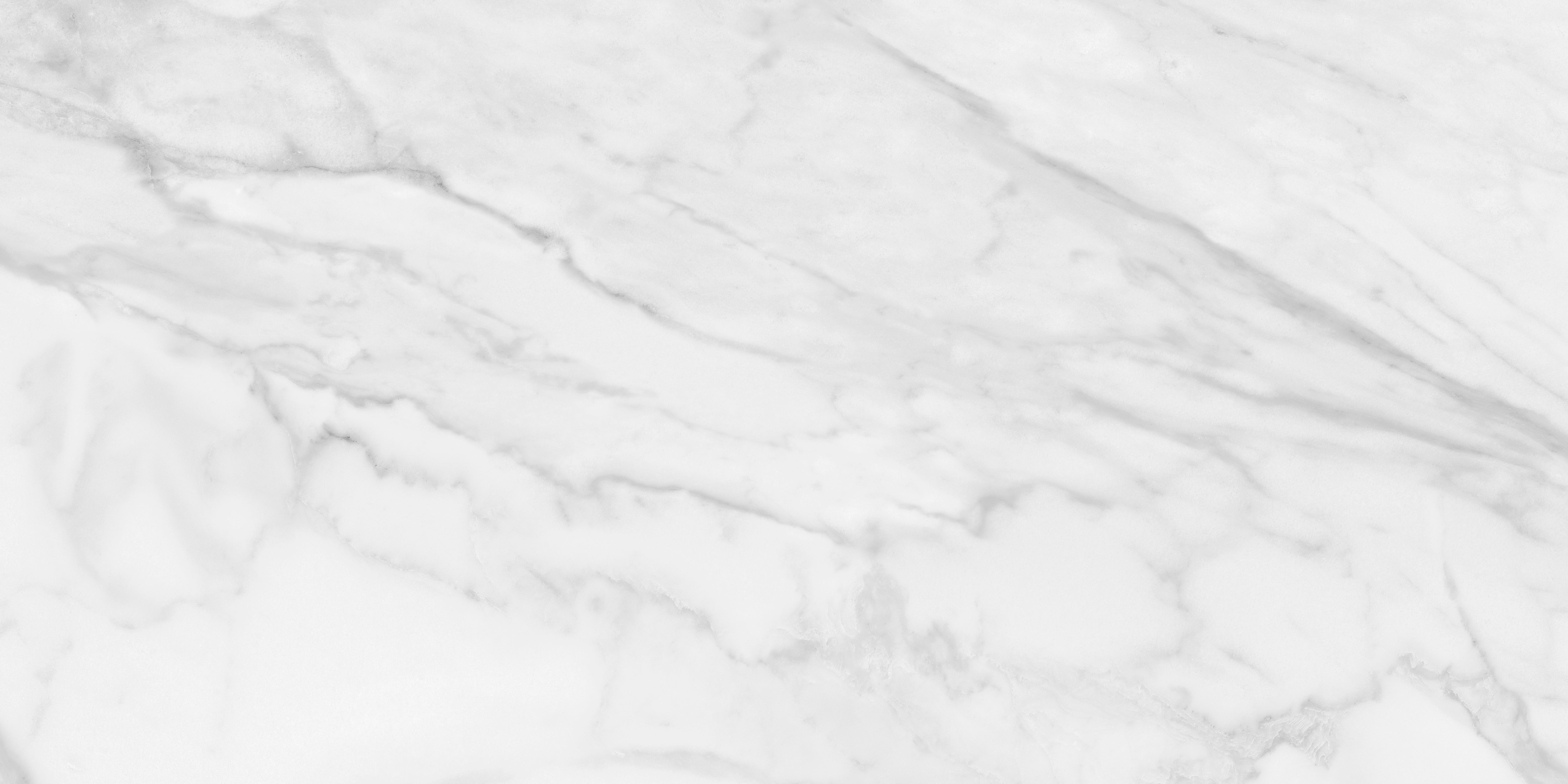Plata Statuario Brina porcelain field tile by Anatolia, top-down product view, 24"×48"×11/32" size. Indian porcelain for floors and walls.