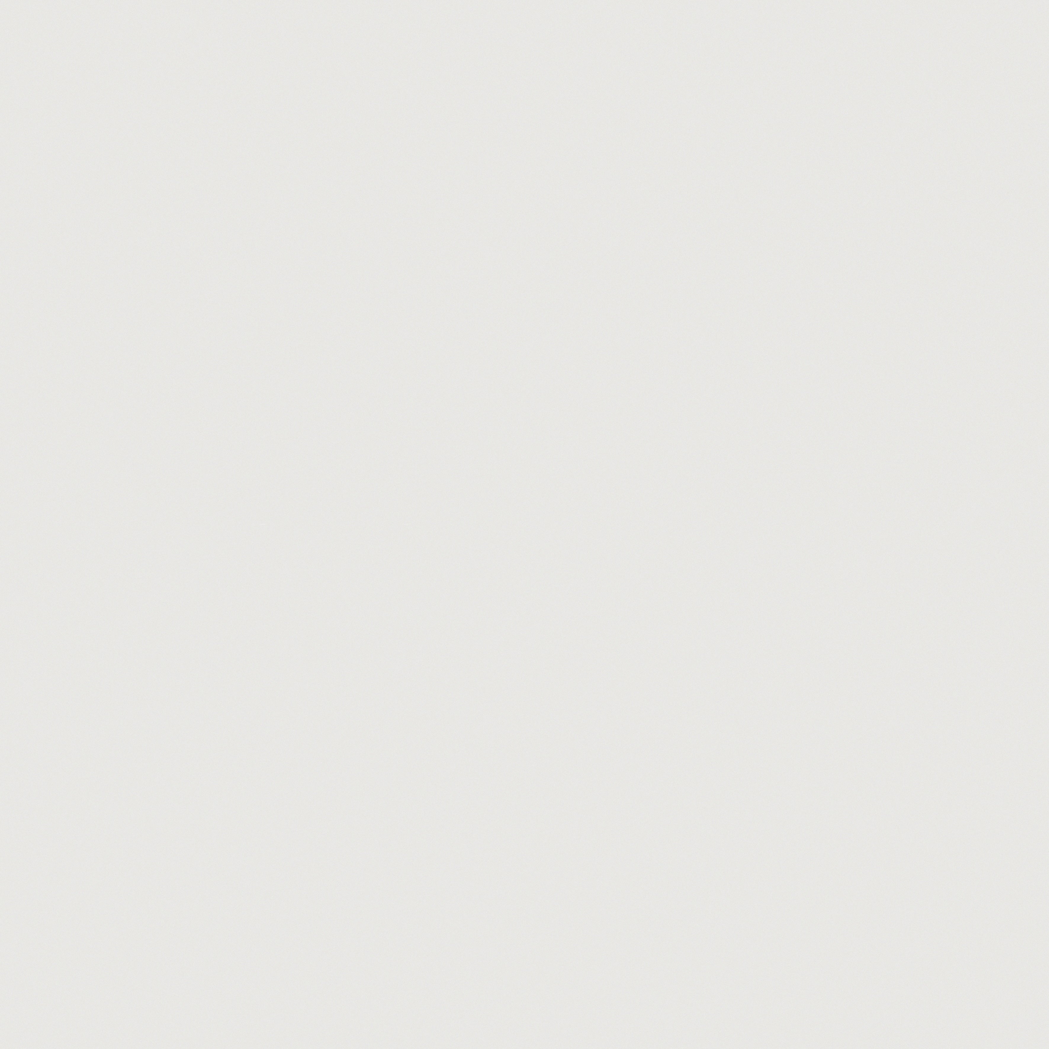 Prima True White porcelain field tile by Anatolia, top-down product view, 24"×11/32" size. Indian porcelain for floors and walls.
