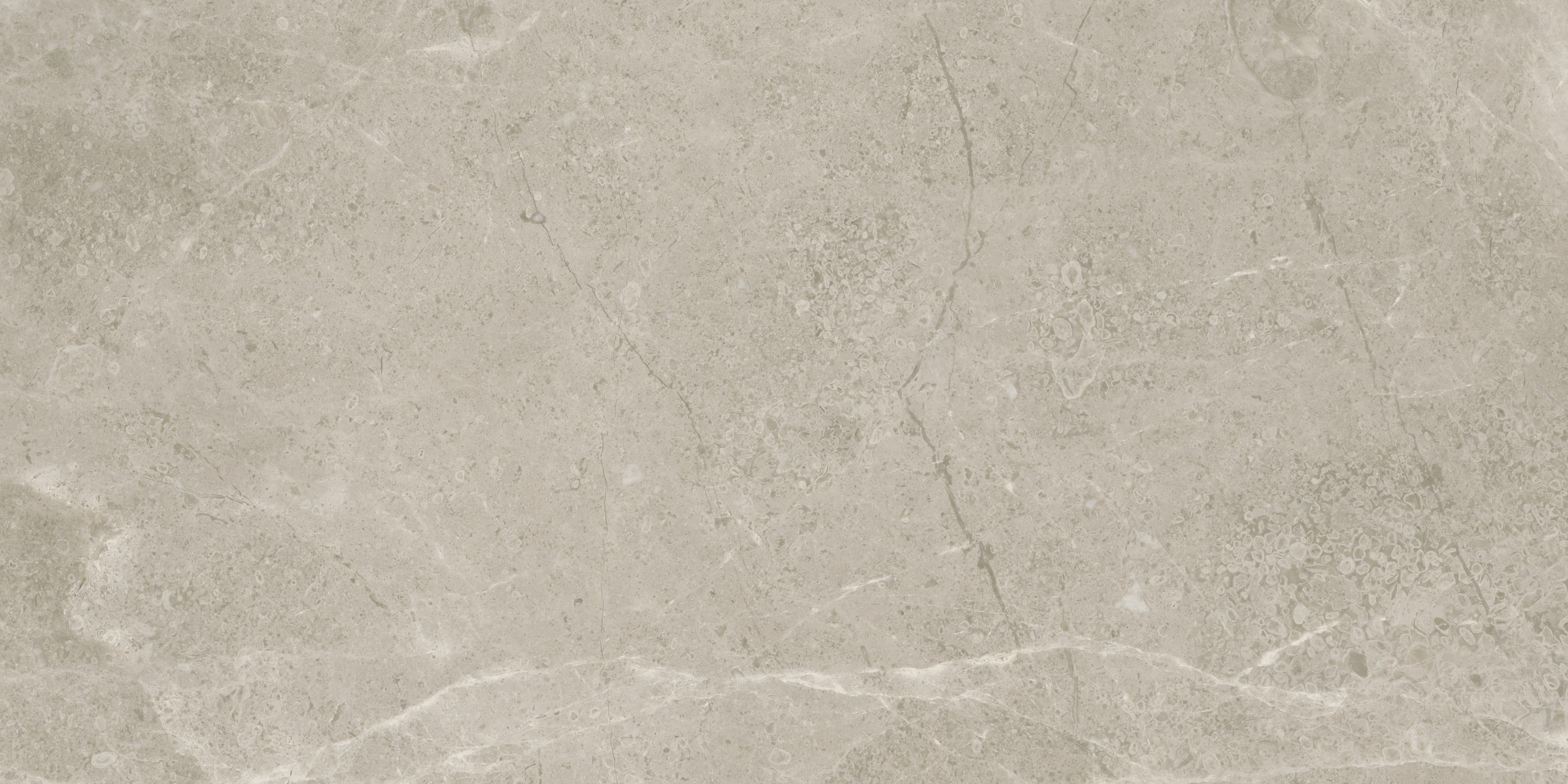 Ritz Gray marble field tile by Anatolia, top-down product view, 18"×36"×25/32" size. Turkish marble for floors and walls.