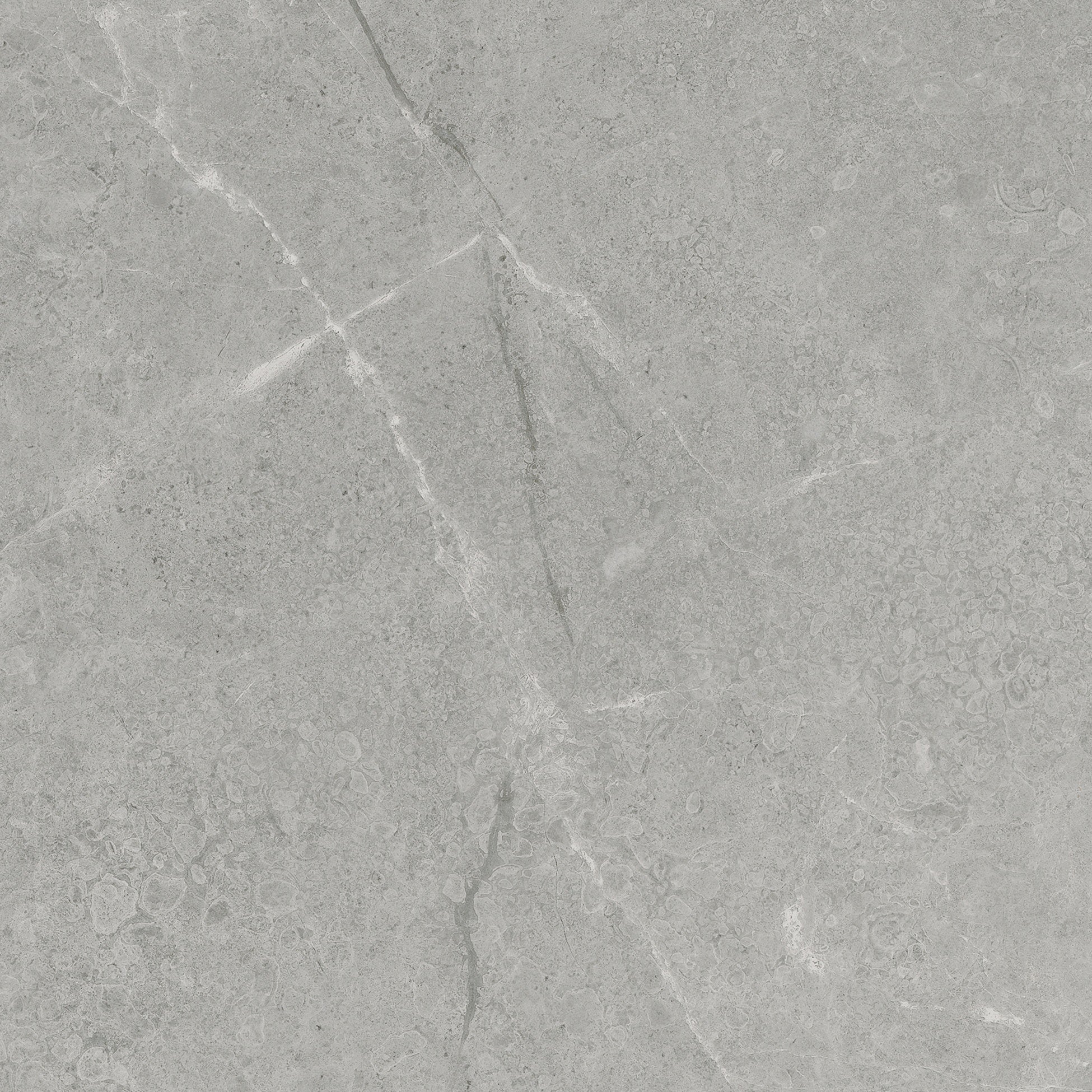 Torino Argento porcelain field tile by Anatolia, top-down product view, 13"×9/32" size. Turkish porcelain for floors and walls.
