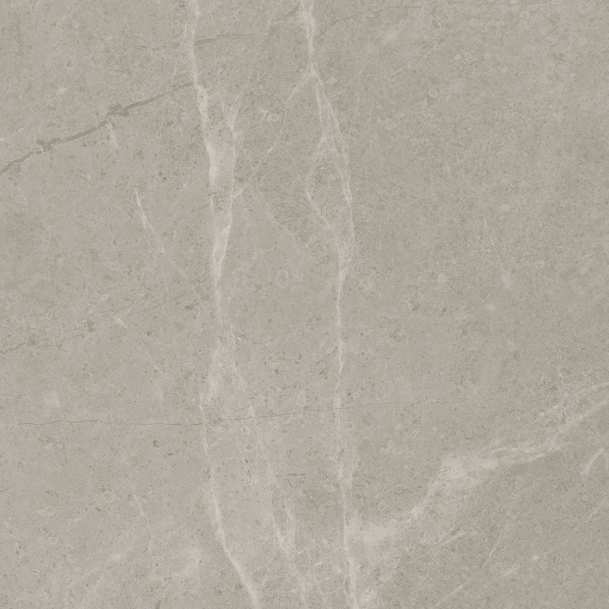 TORINO: Vanizio Porcelain Field Tile (13"×9/32" | Matte | Pressed)