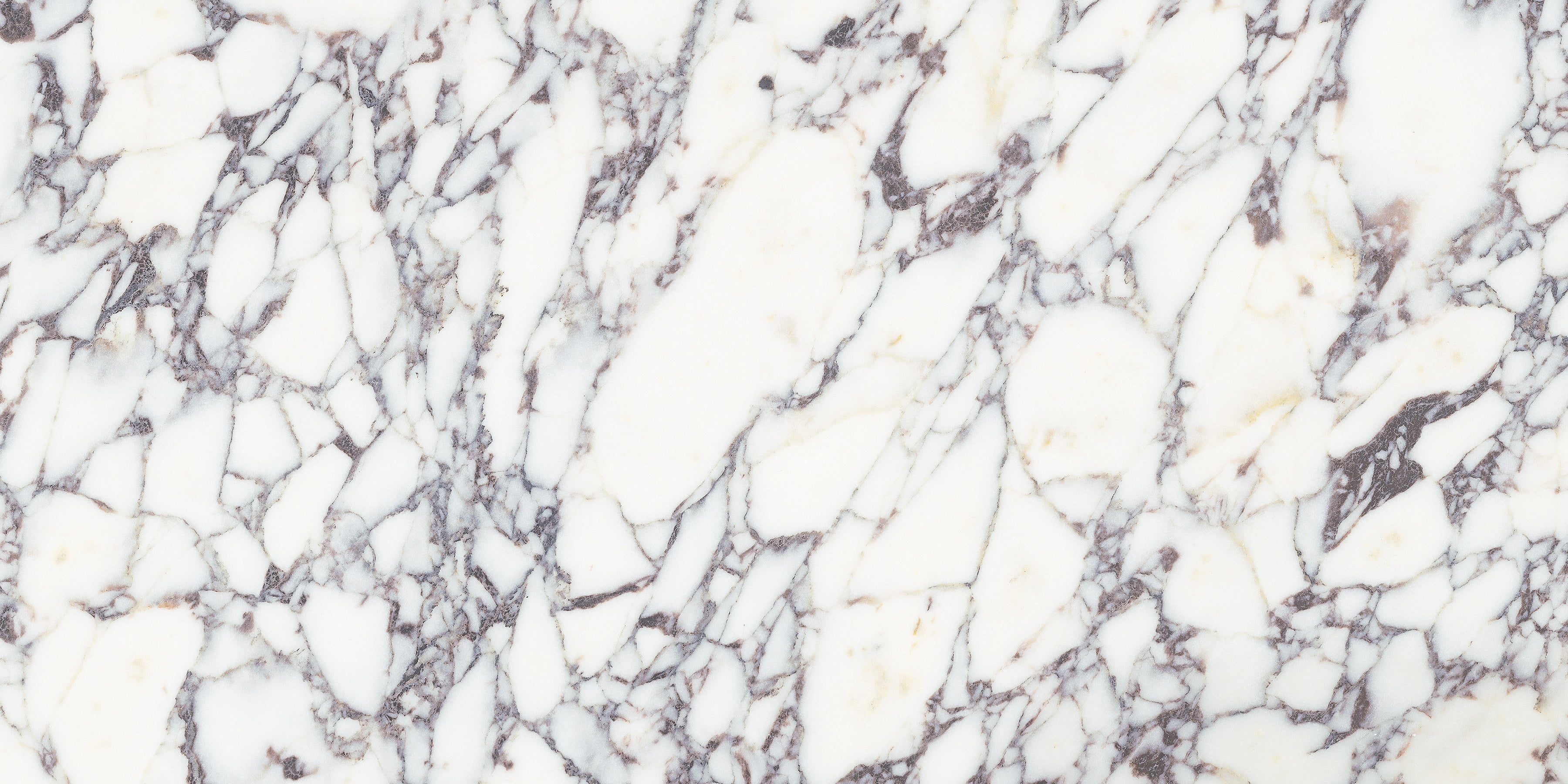 Viola Roccia marble field tile by Anatolia, top-down product view, 12"×24"×3/8" size. Turkish marble for floors and walls.