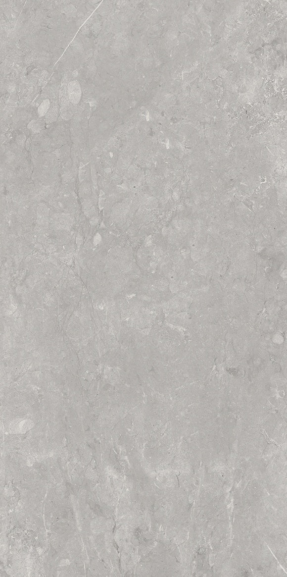 GRAYSTONE: Silver Porcelain Field Tile ( 12"x 24"x8-mm | matte)