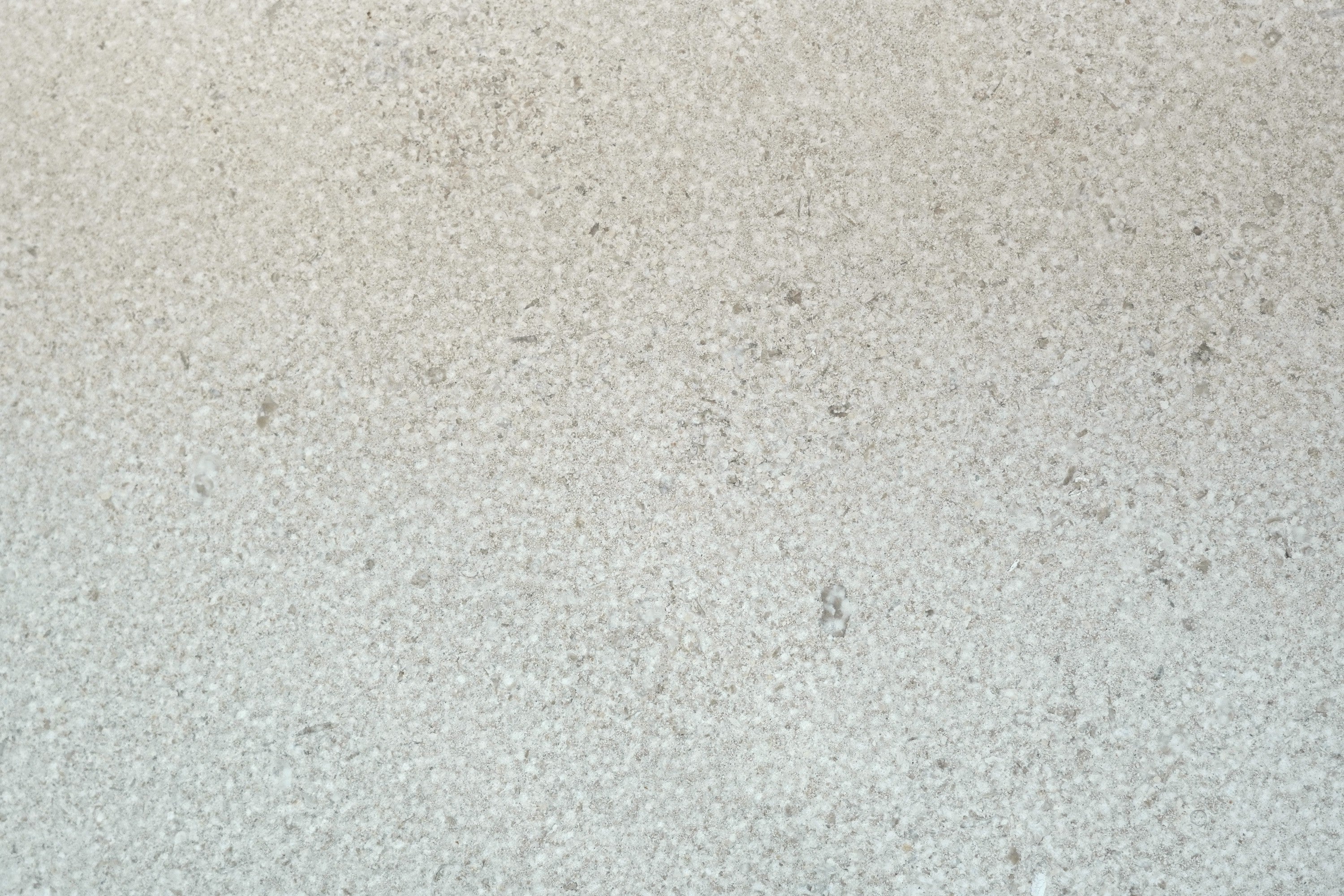 Moca Fossil Moca Fossil Provence limestone coping, alternate product view, 16"×24"×1 31/32" size. Premium limestone for floors and walls.