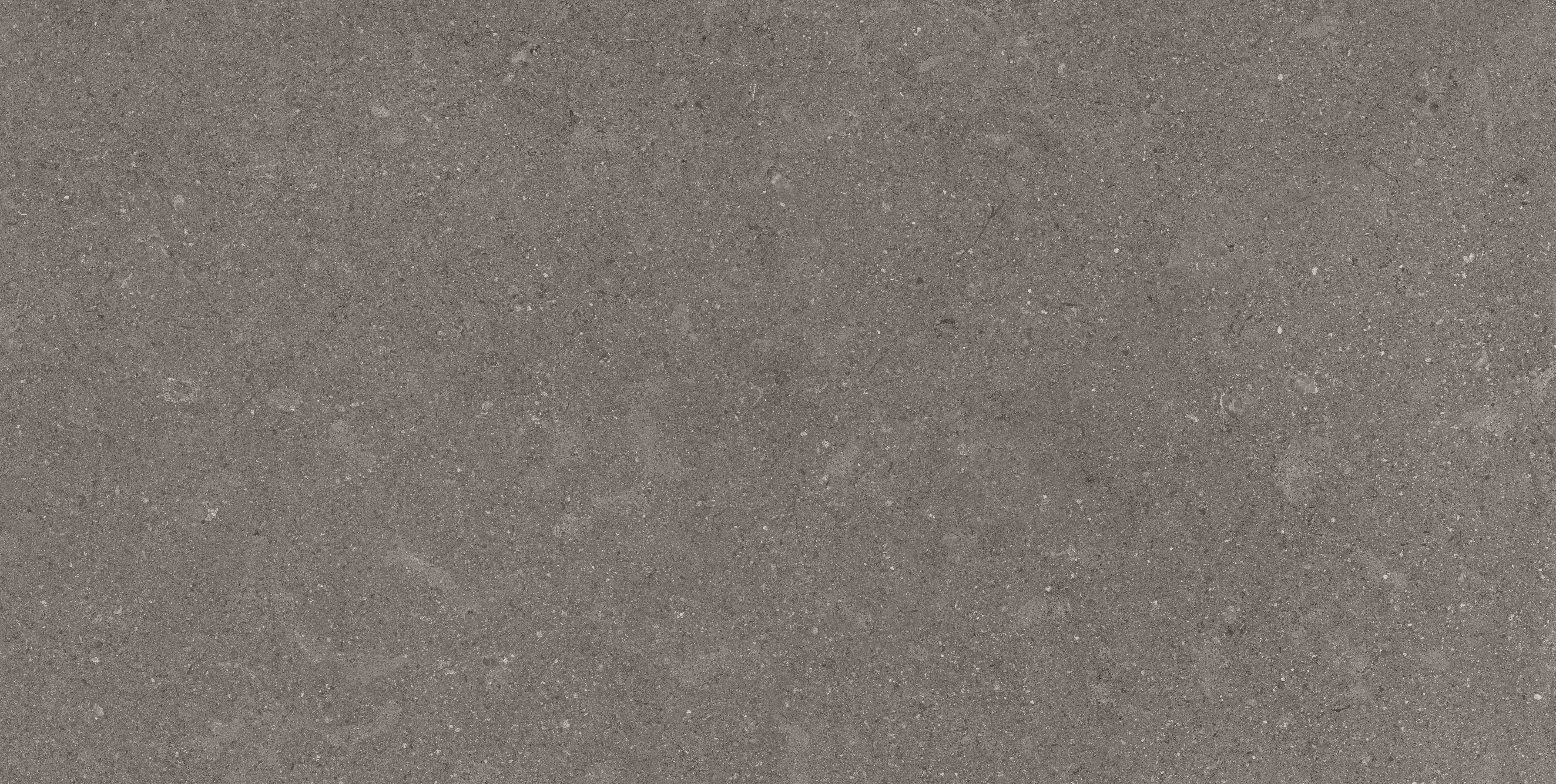 Mood Dark porcelain field tile, top-down product view, 12"×24"×11/32" size. Premium porcelain for floors and walls.