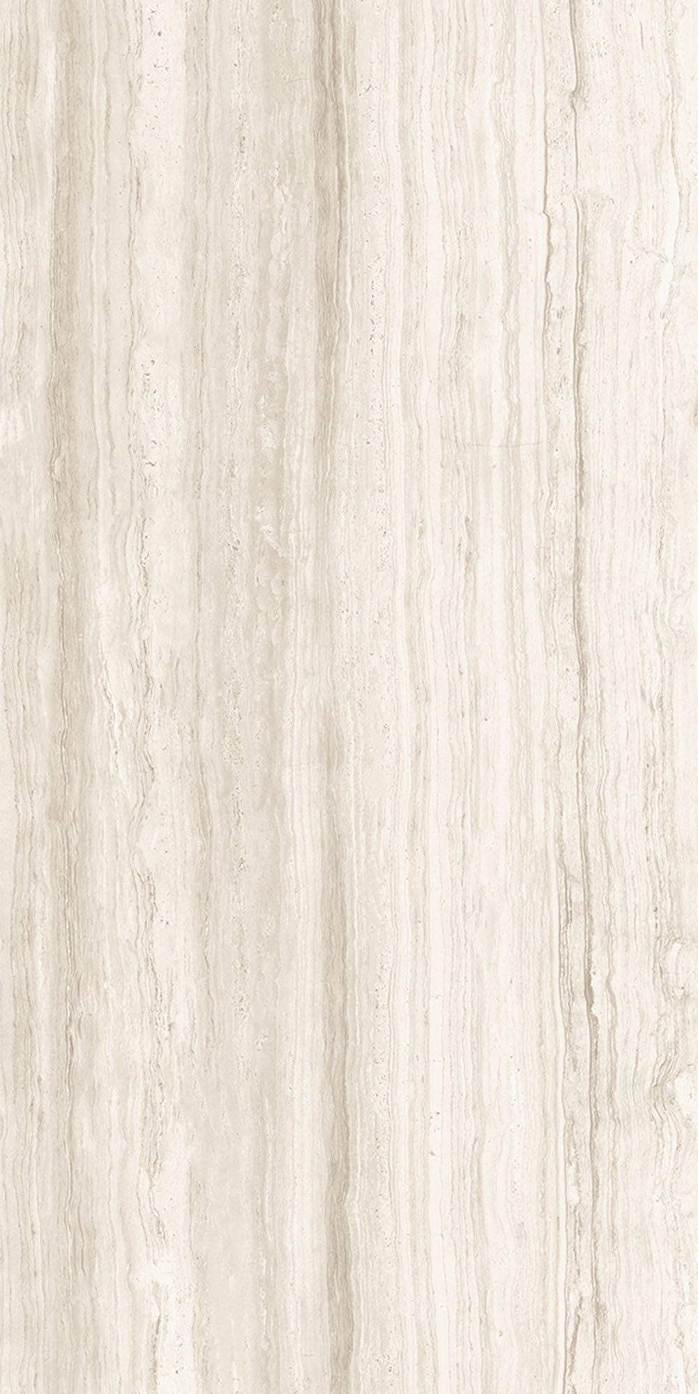 SILK: Cream Porcelain Field Tile ( 12"x 24"x8-mm | matte)