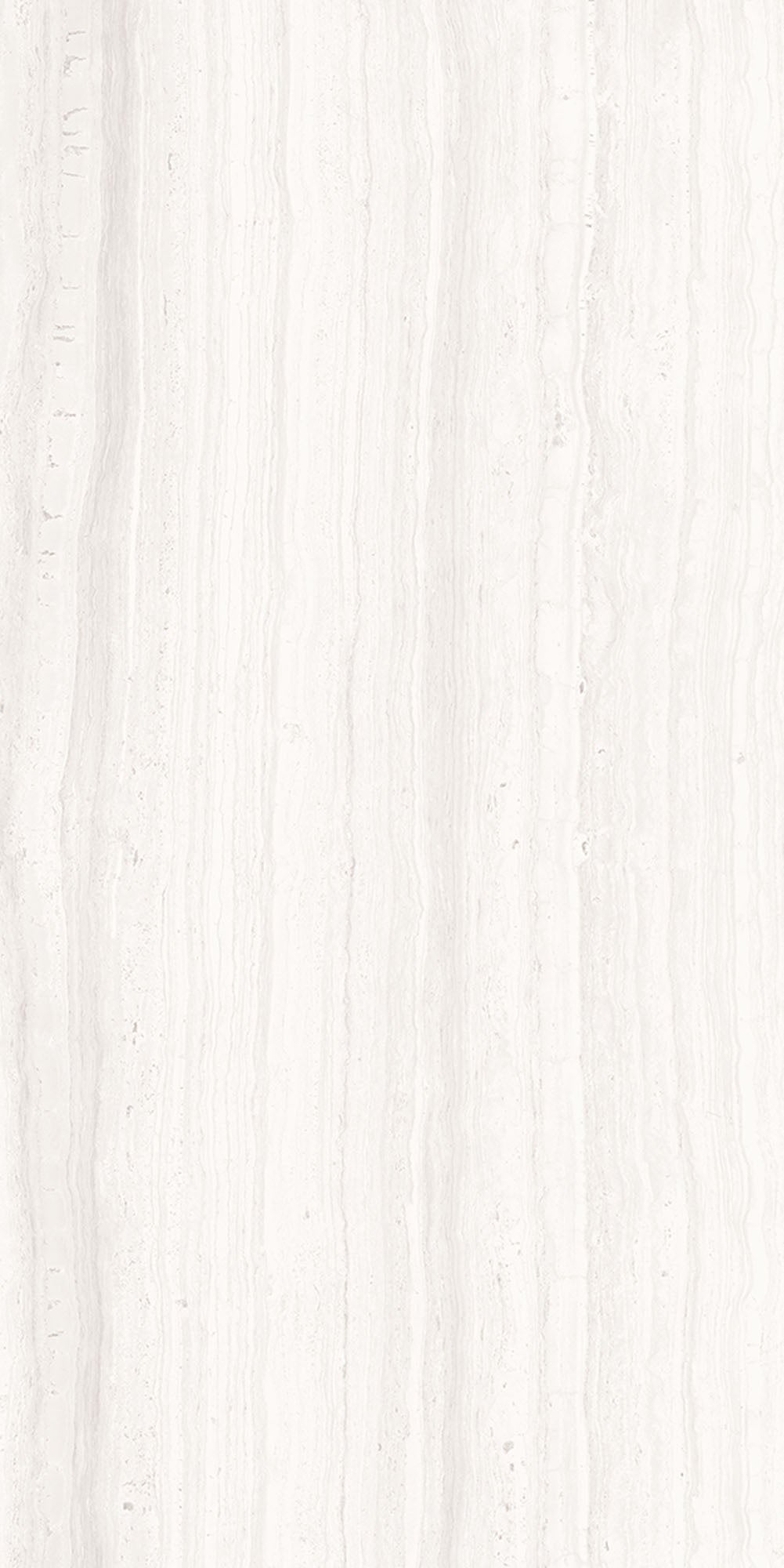 SILK: Light Porcelain Field Tile ( 12"x 24"x8-mm | matte)
