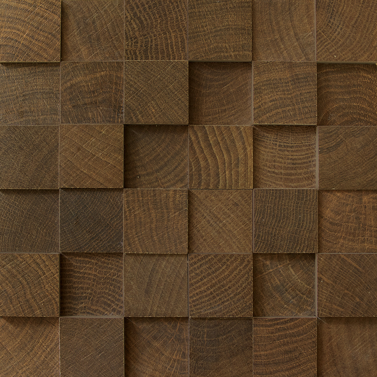W-Circles Wenge' porcelain mosaic tile by Emil, naturale finish, 11"x11"x9-mm size. Premium Italian porcelain for floors and walls.