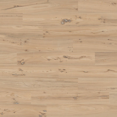 Olmo Dorato β porcelain-tile collection