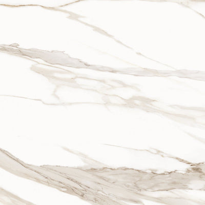 Calacatta Gold Canova β Porcelain and Porcelain Tile collection