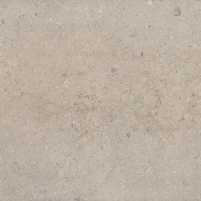 Antique Cream Lith – Porcelain collection