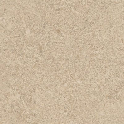 Biscuit β Ceramic Materials collection