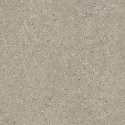 Taupe β Ceramic Materials collection