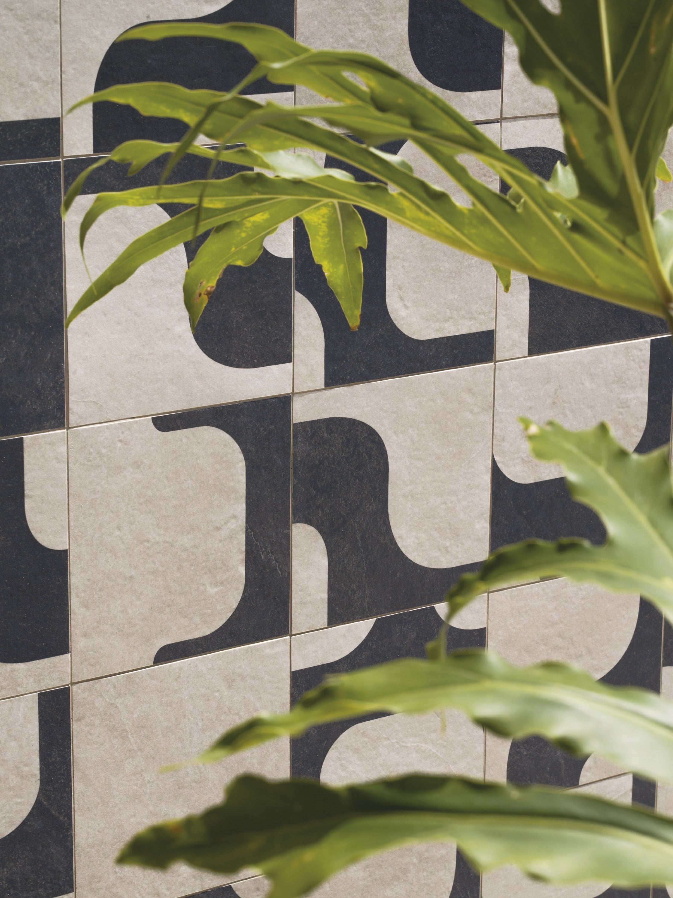 CARIOCA CANVAS: Ebony Enchantment Black Field Tile (8"x8"x9-mm | natural | rectified)