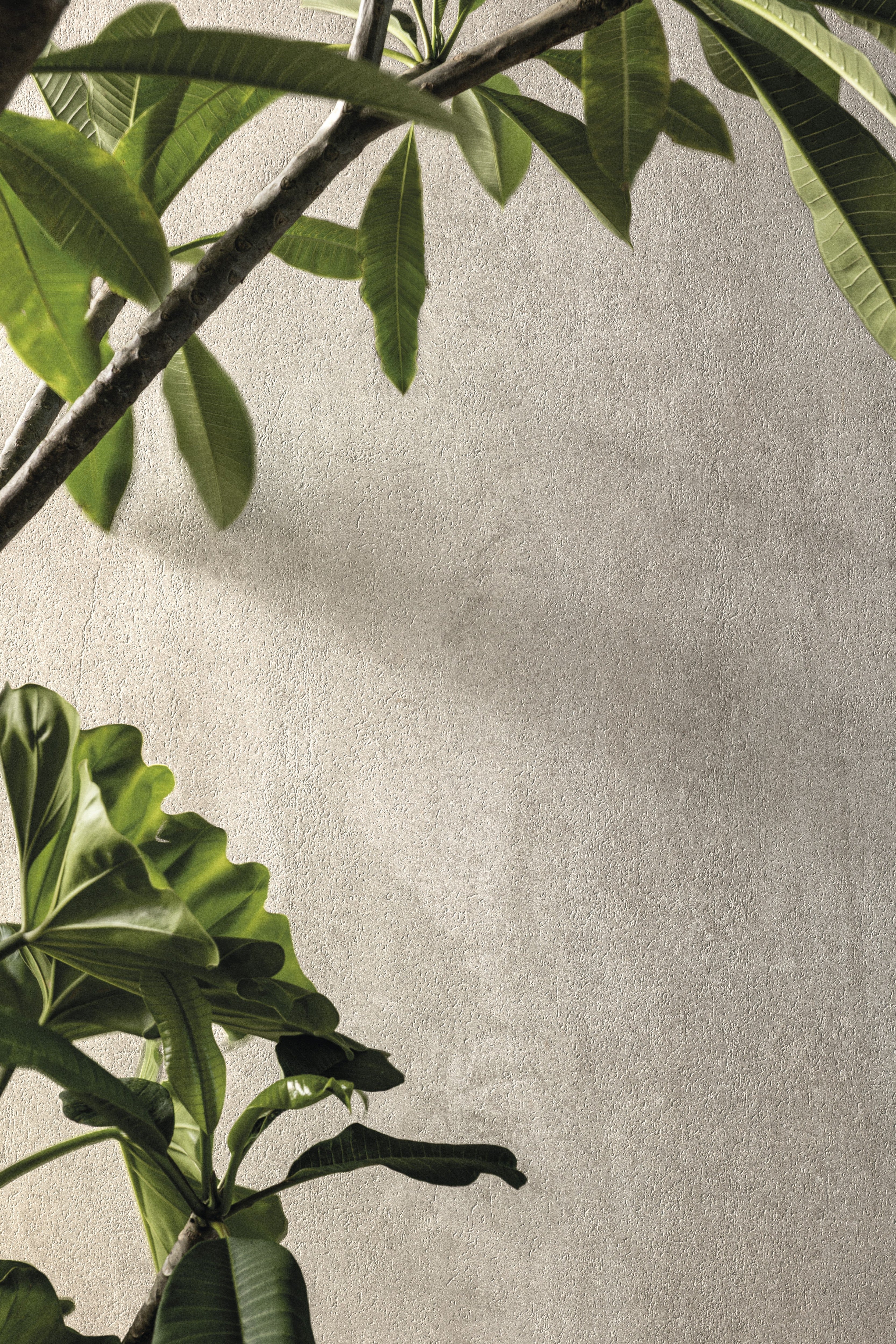 ETHEREAL HARMONY: Whispering Cloud Field Tile (18"x48"x13.3-mm | matte | rectified)