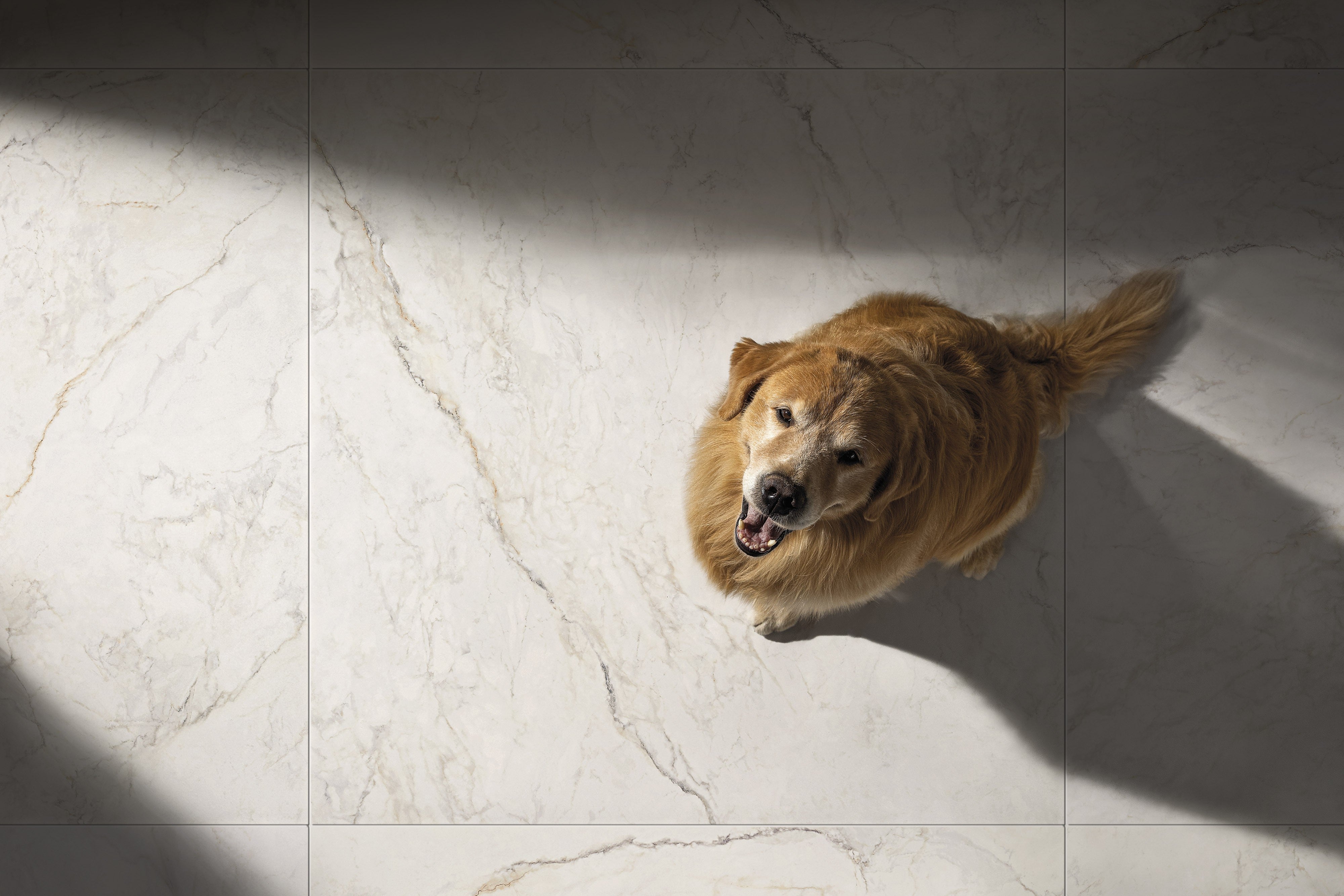 GOLDEN APUAN: Apuan Sunrise Field Tile (4"x16"x7-mm | matte | pressed)