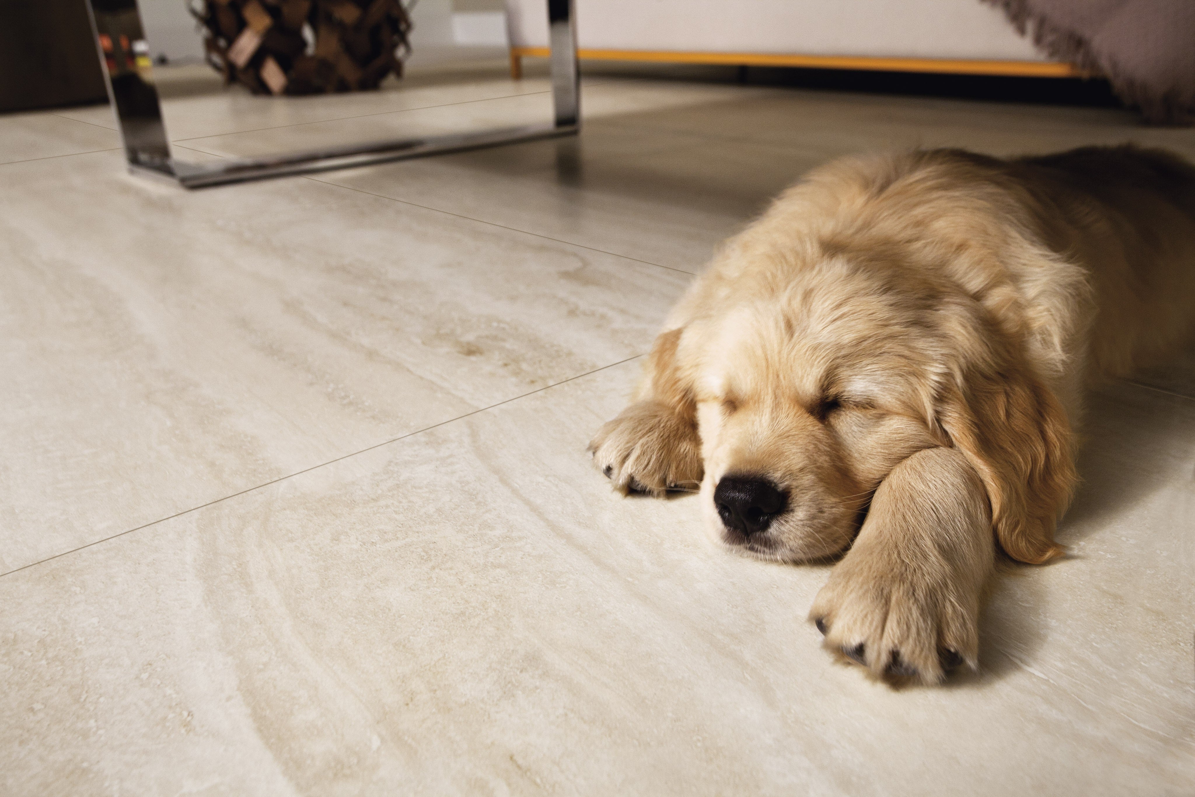 NAVONA NUANCE: Bianco Breath Field Tile (12"x24"x8-mm | polished | rectified)