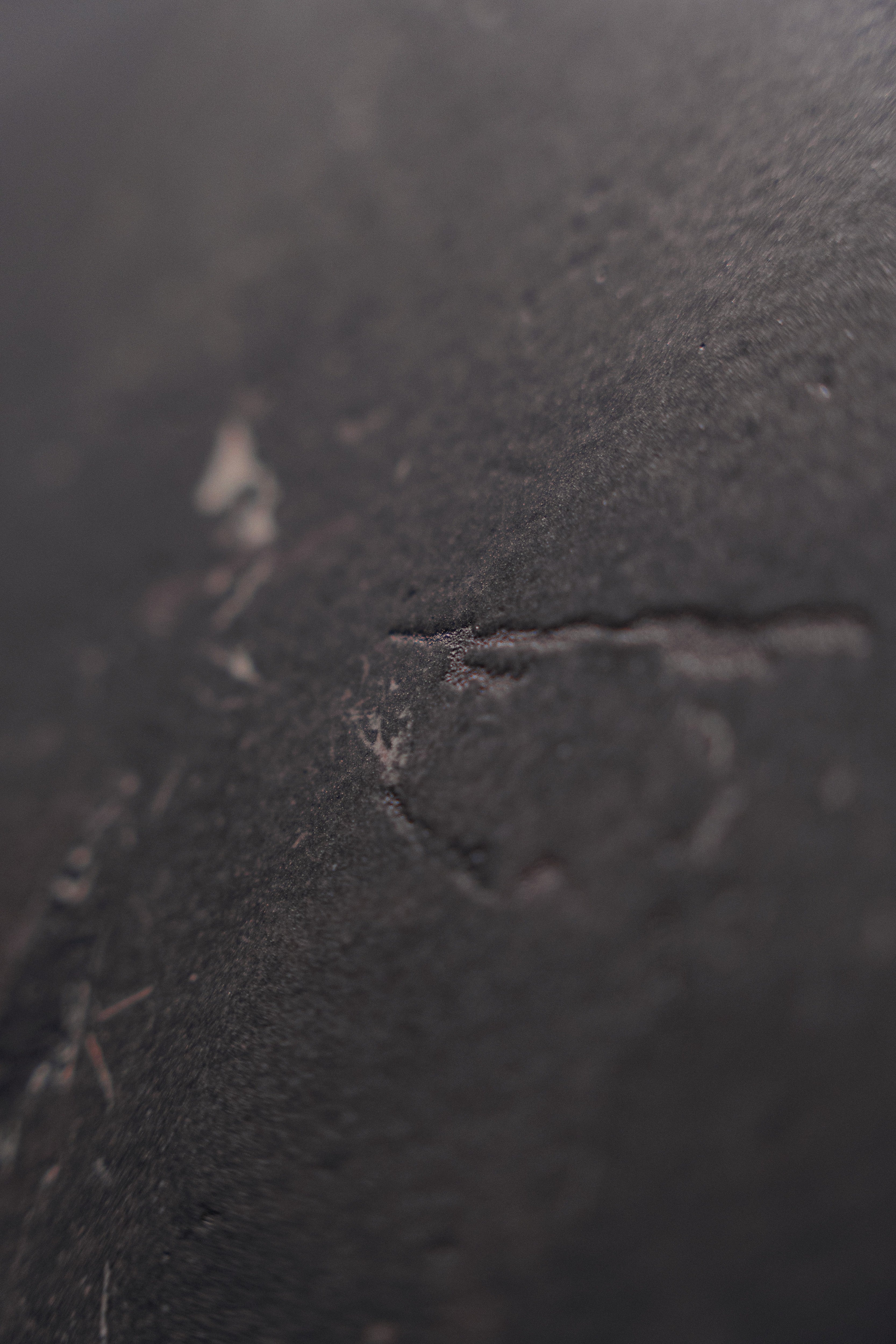 URBAN SILHOUETTE: City Shadow Bullnose Trim (3"x12"x8-mm | polished | rectified)