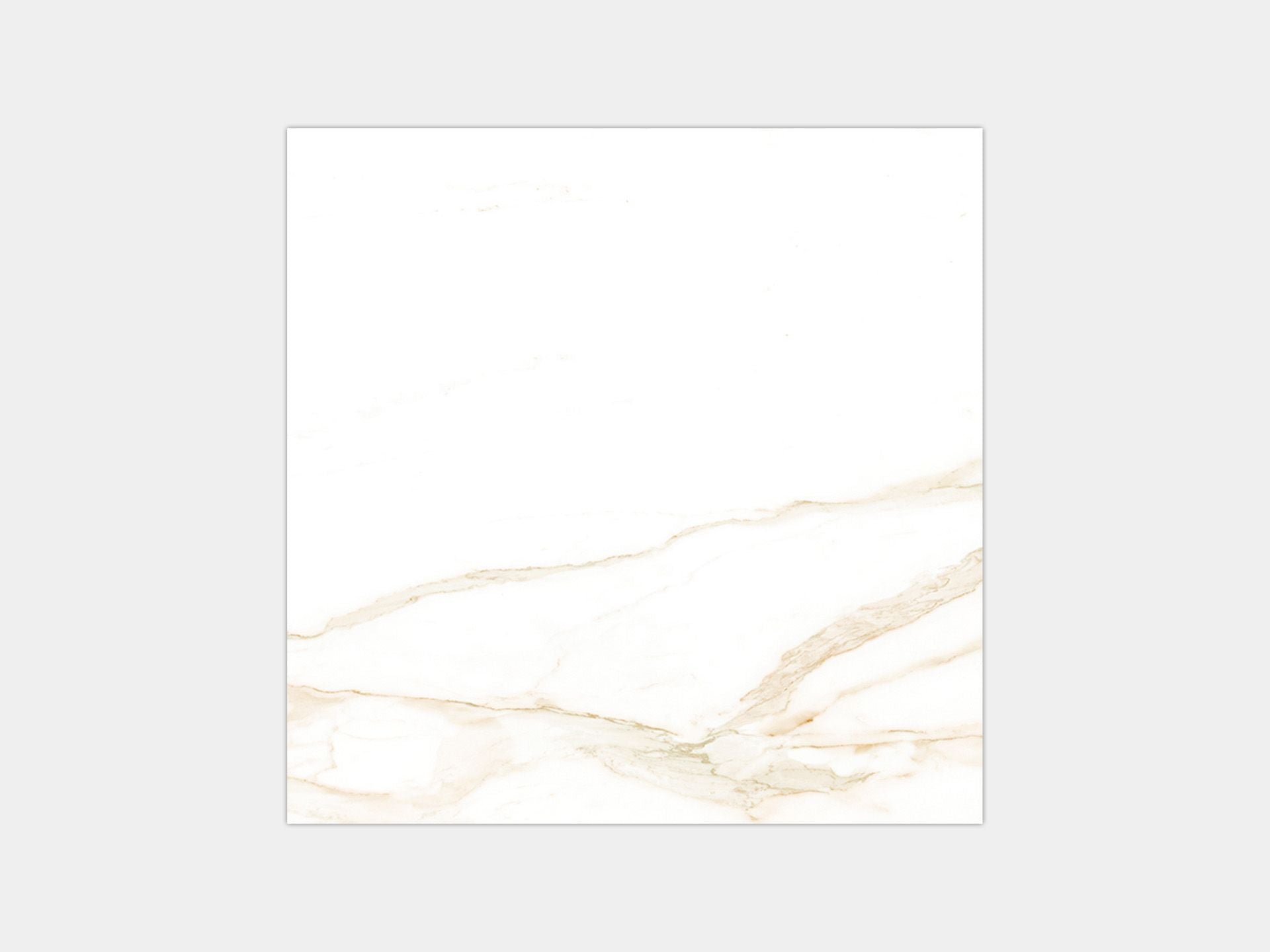 Calacata Gold Naturale Floor Tile (23x23x8.5-mm | matt)