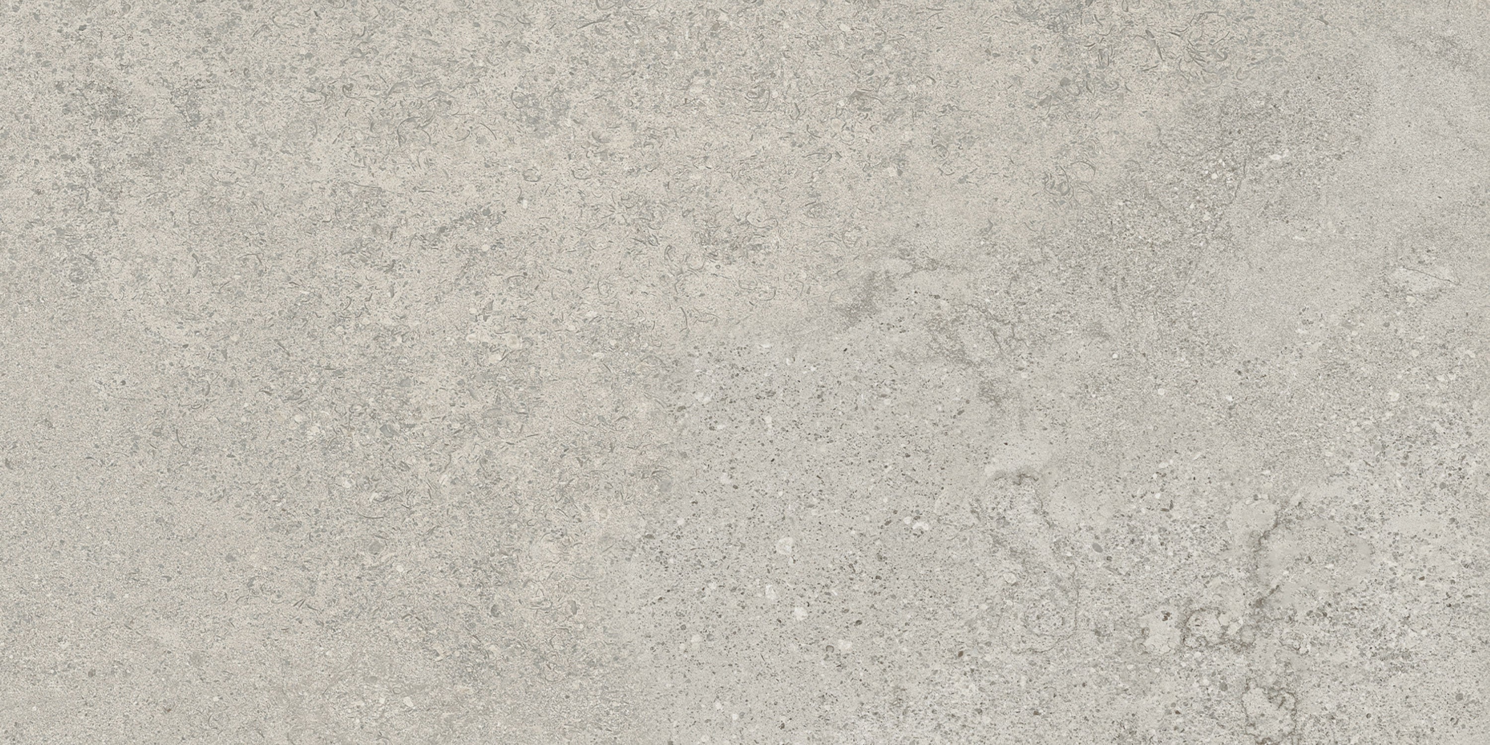 Siena Ash porcelain field tile, top-down product view, 12"×24"×5/16" size. Premium porcelain for floors and walls.