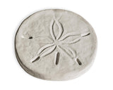 SAND DOLLAR: Accessories