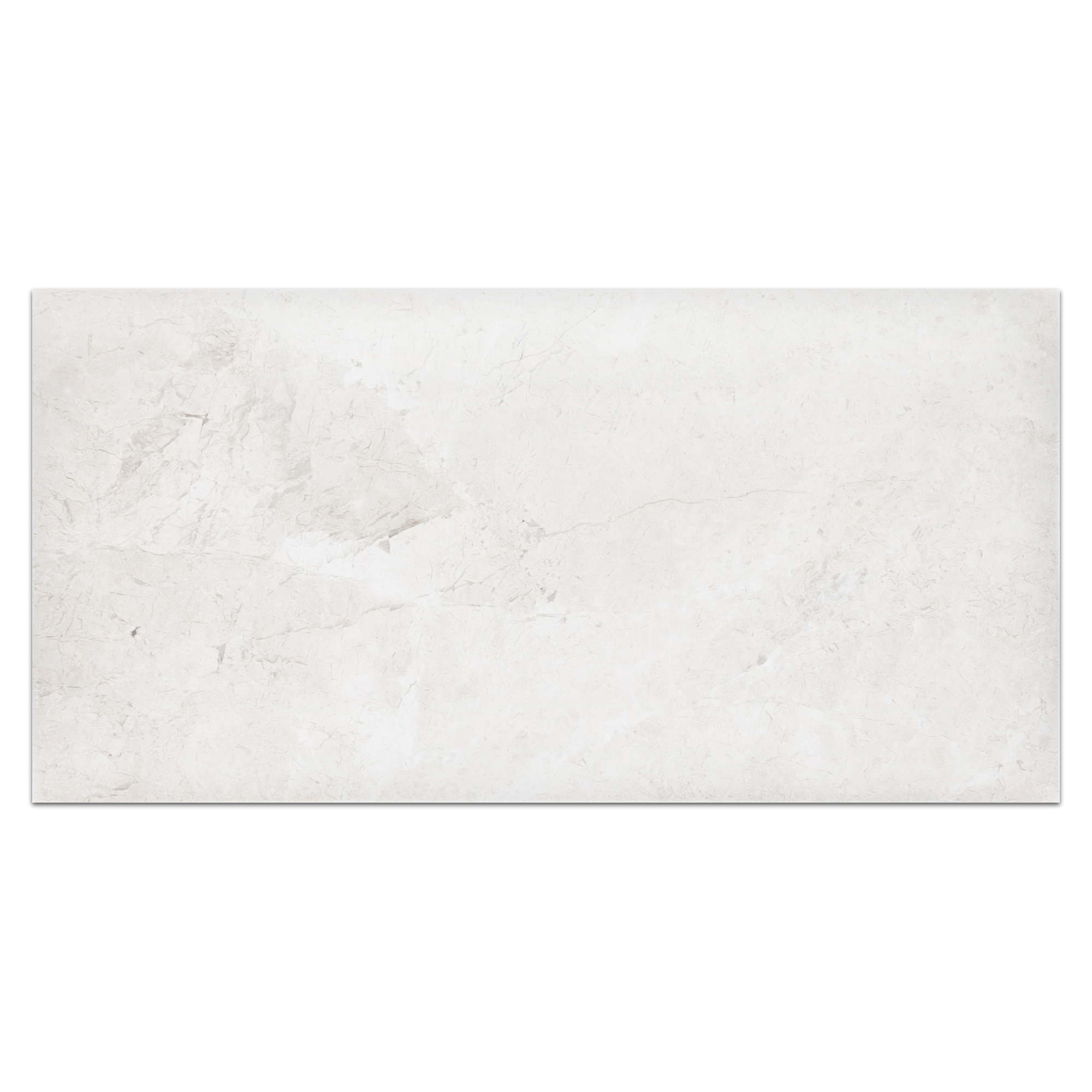 ALBA NOVA: Marble Field Tile (12"x24"x1/2" | honed)