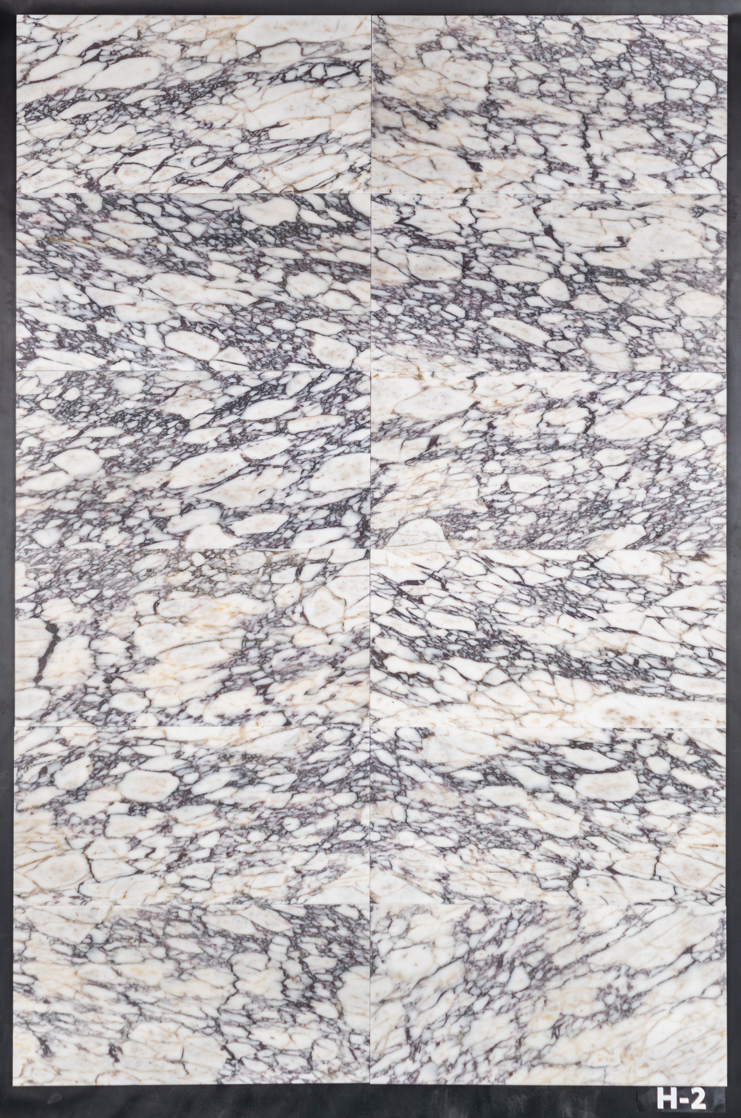 BIANCO VIOLETTA: Marble Field Tile (12"x24"x3/8" | honed)