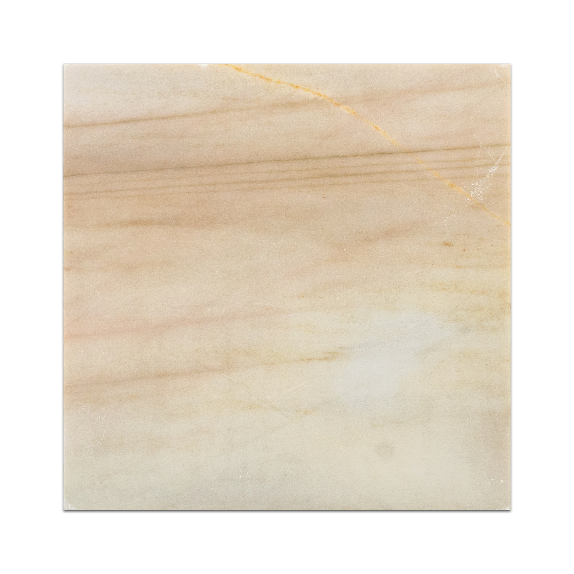 Elon Golden Sand Quartzite Square Field Tile 12x12x0.375 Honed SN1544H Surface Group International Product