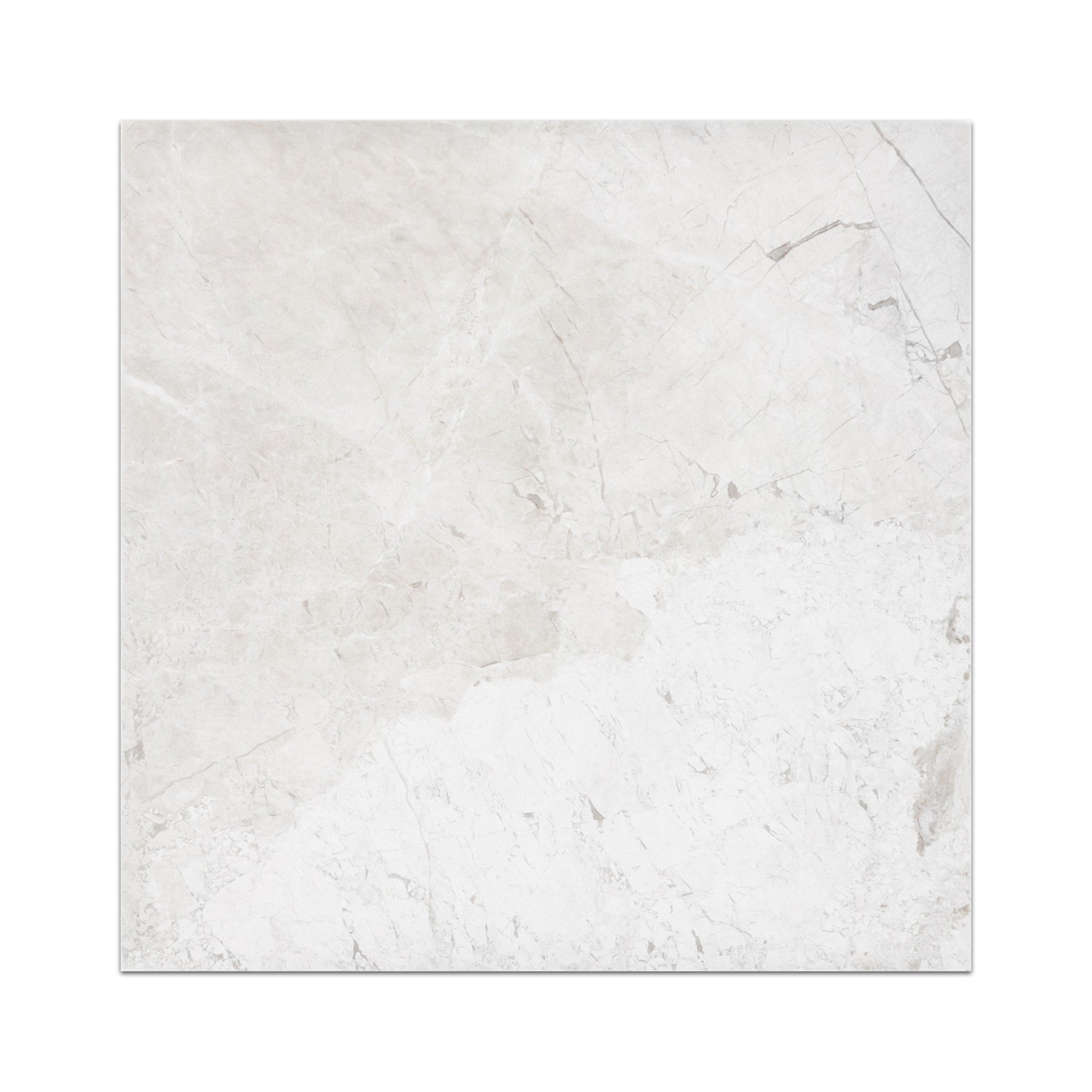 Elon Tile Alba Nova Field Tile tile — available at Surface Group