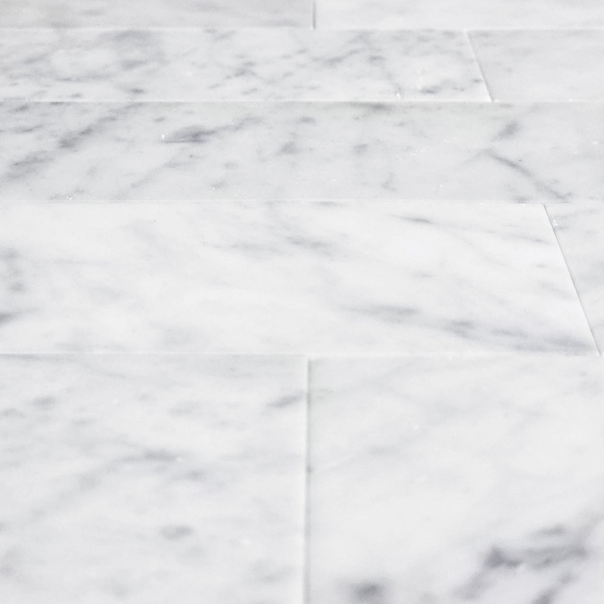 Elon Tile Bianco Carrara Field Tile tile arrangement — available at Surface Group