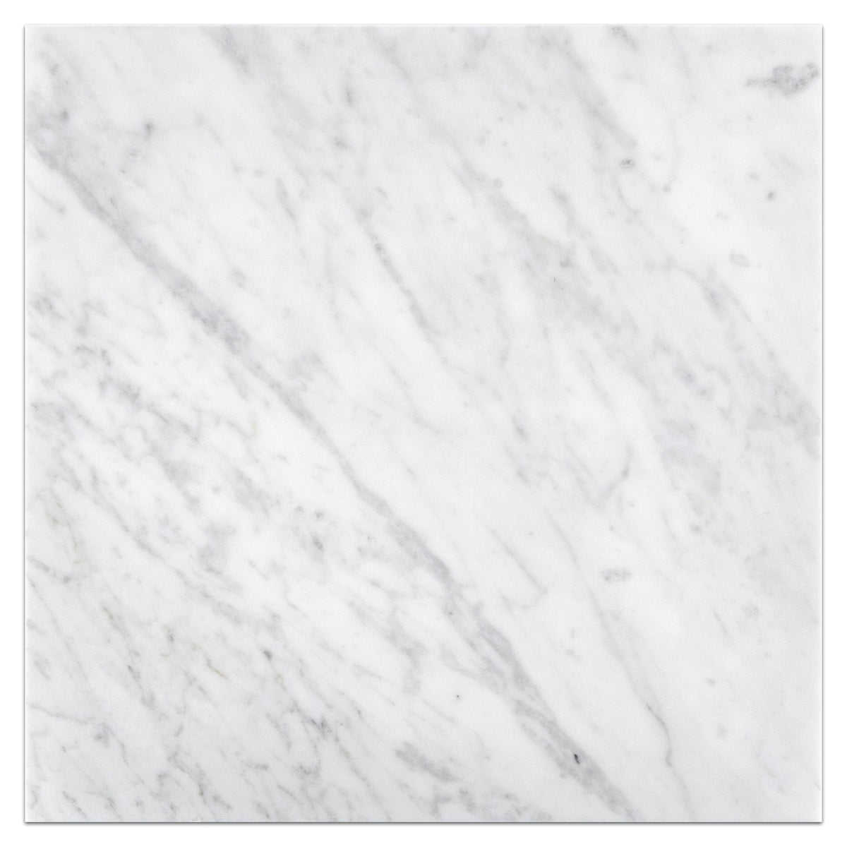Elon Tile Bianco Carrara Field Tile tile — available at Surface Group