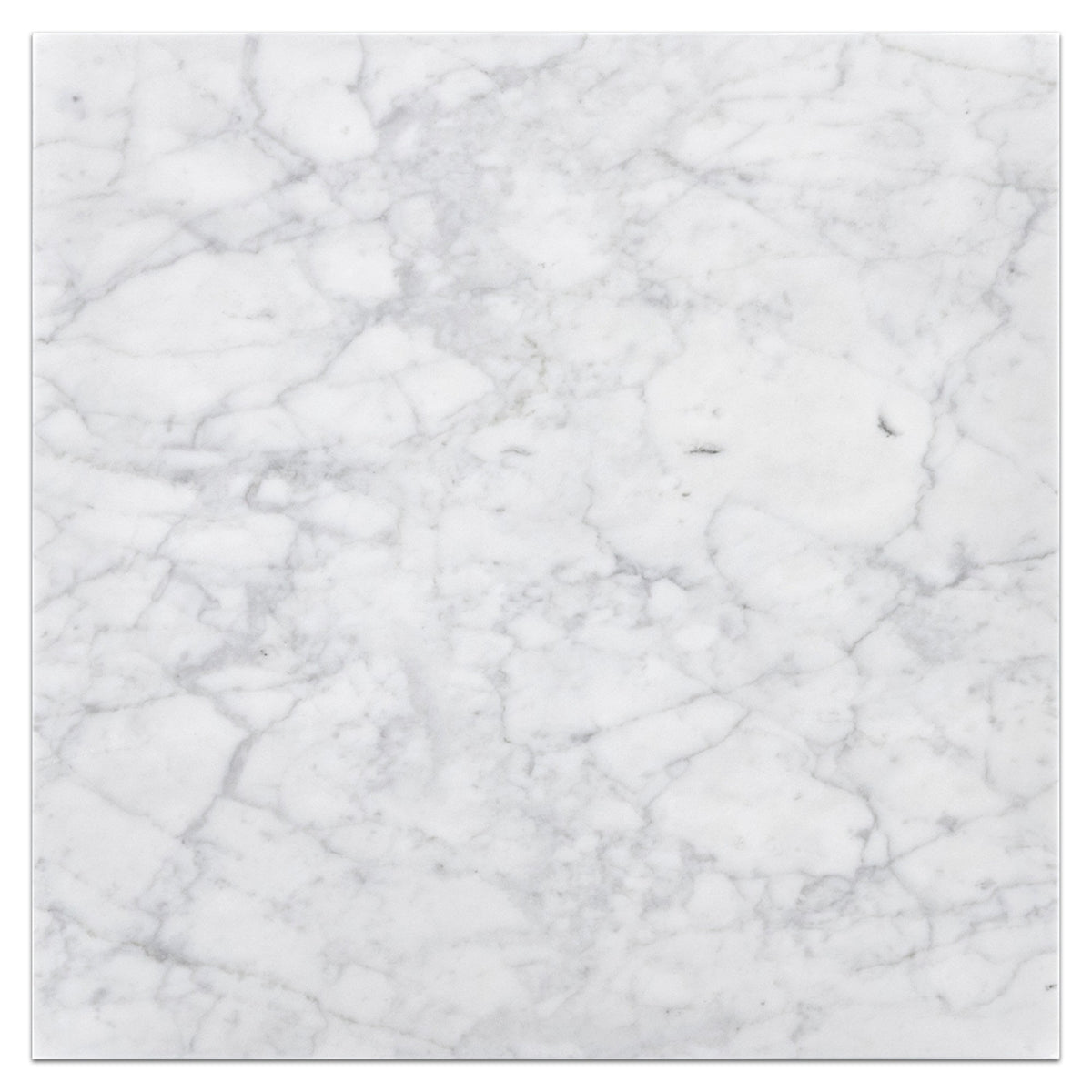 Elon Tile Bianco Carrara Field Tile tile — available at Surface Group