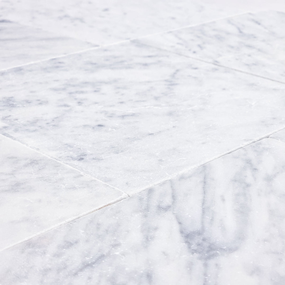 Elon Tile Bianco Carrara Field Tile tile arrangement — available at Surface Group