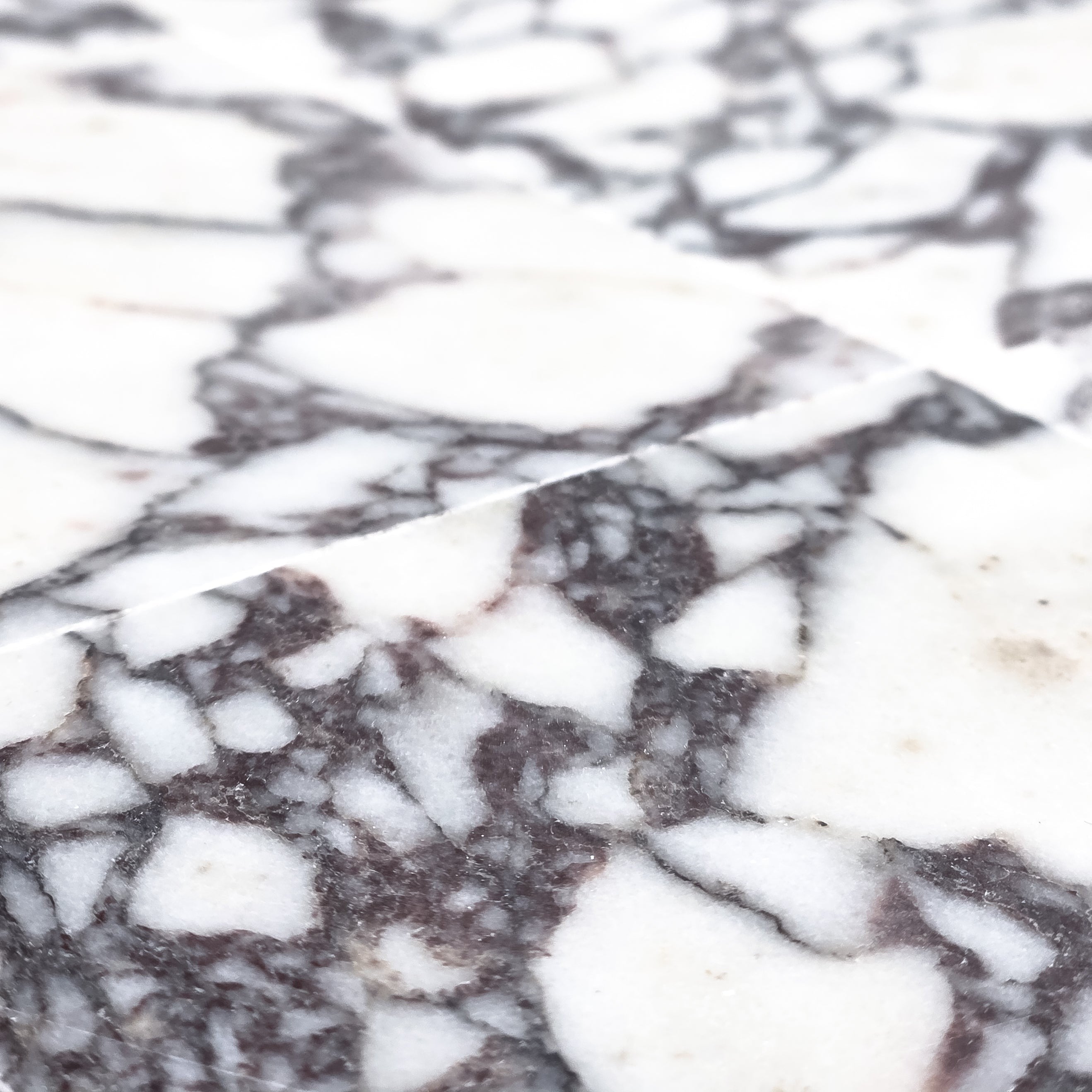 Elon Tile Bianco Violetta Field Tile tile β available at Surface Group