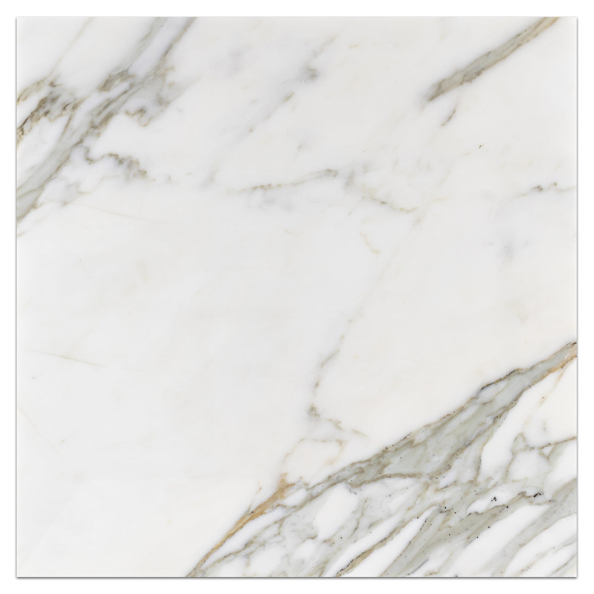 Elon Tile Calacatta Gold Field Tile tile — available at Surface Group