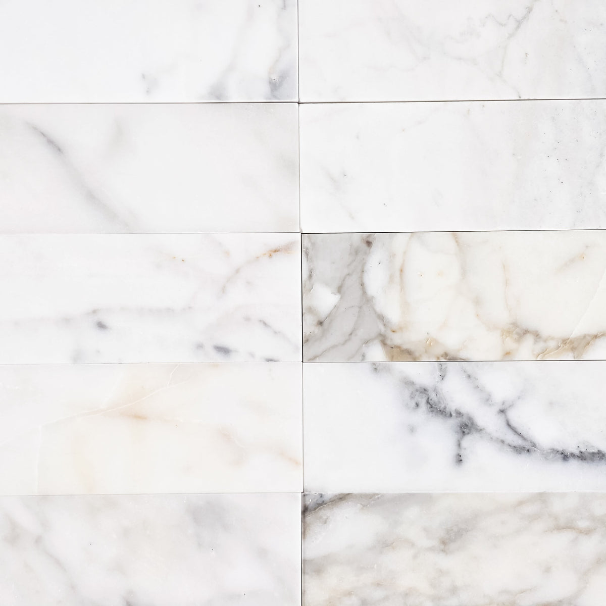Elon Tile Calacatta Gold Field Tile tile pattern swatch — available at Surface Group