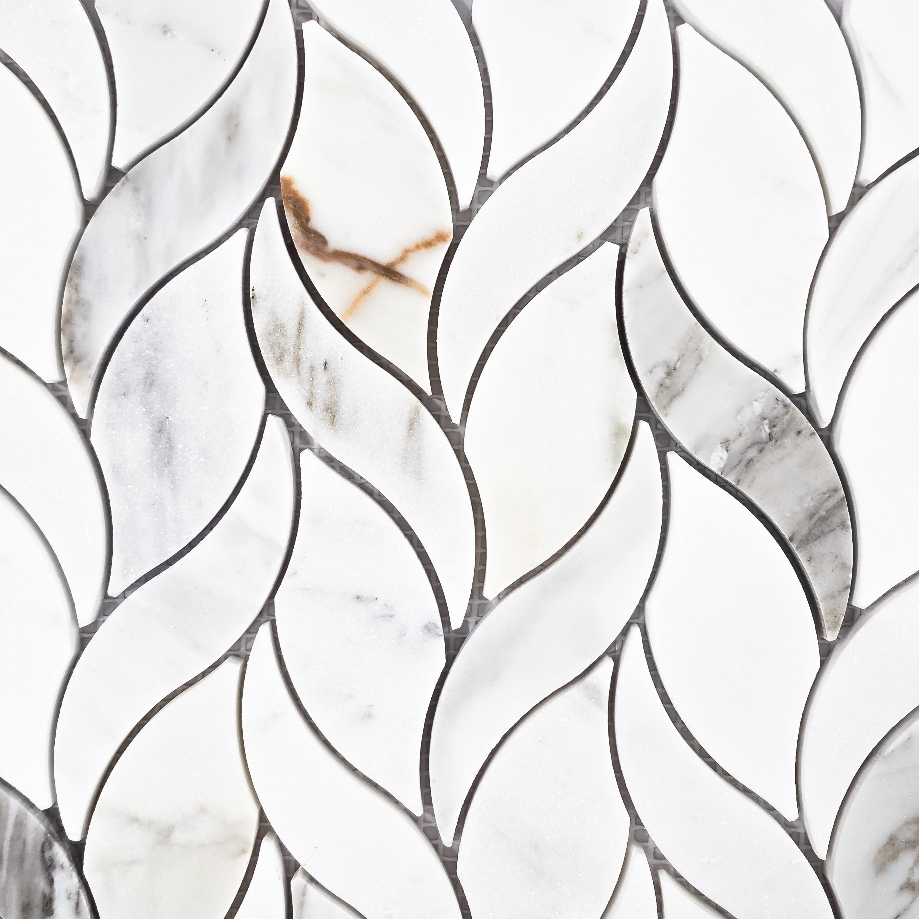 Elon Tile Petal tile β available at Surface Group